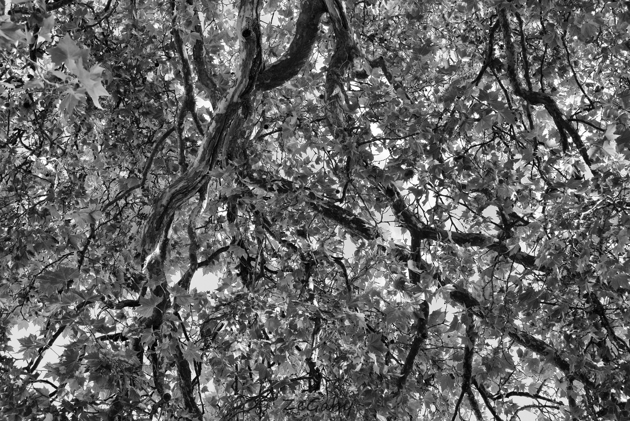 Tamron AF 70-300mm F4-5.6 Di LD Macro sample photo. Under shadows photography