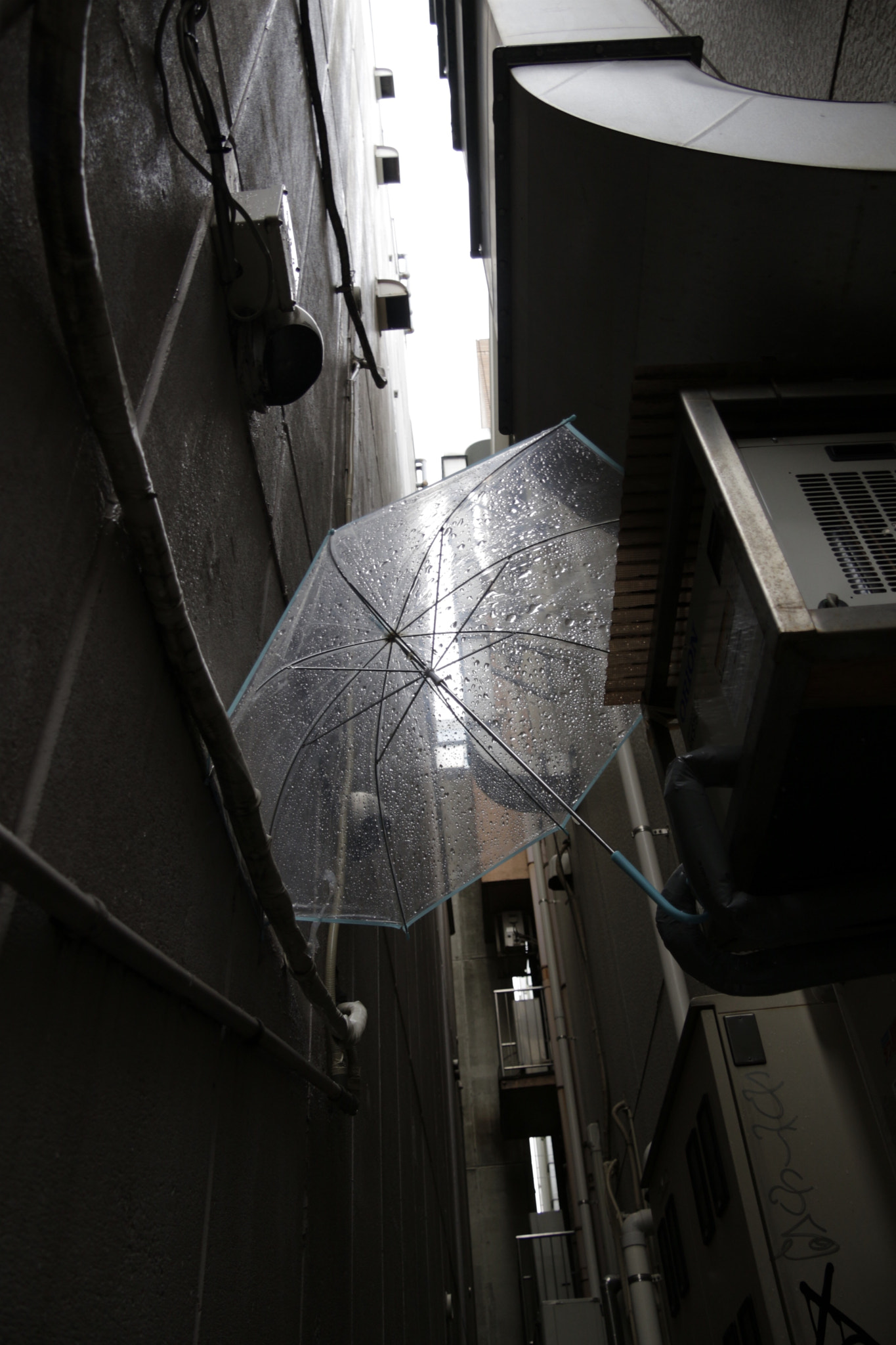 Canon EF-S 17-85mm F4-5.6 IS USM sample photo. Too long rain photography