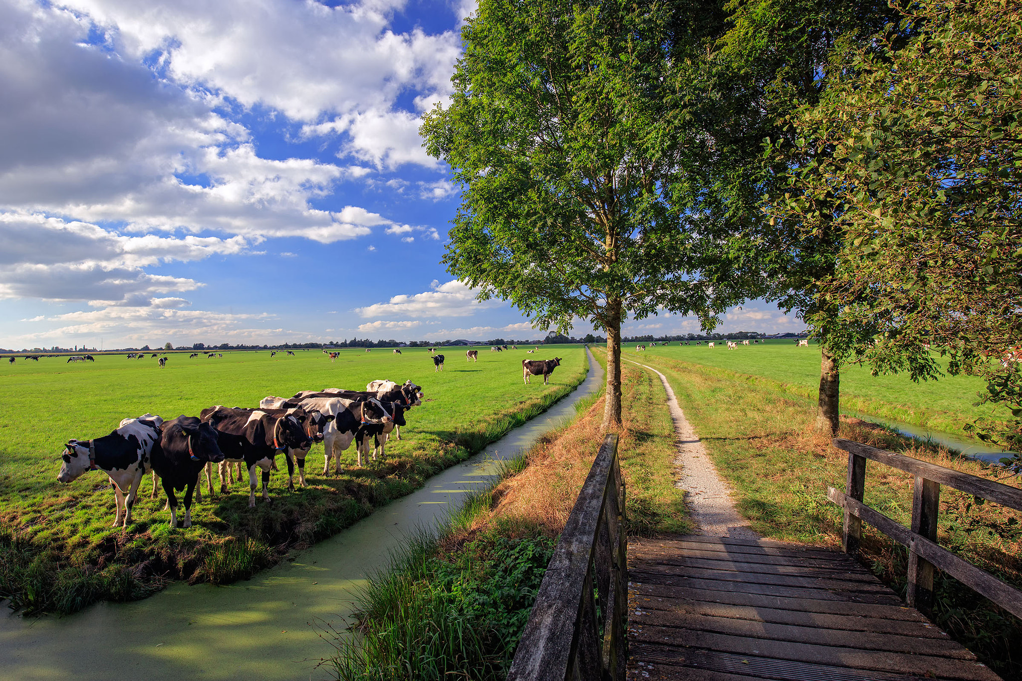 Canon EOS 5DS R + Canon EF 16-35mm F4L IS USM sample photo. Curiosity photography