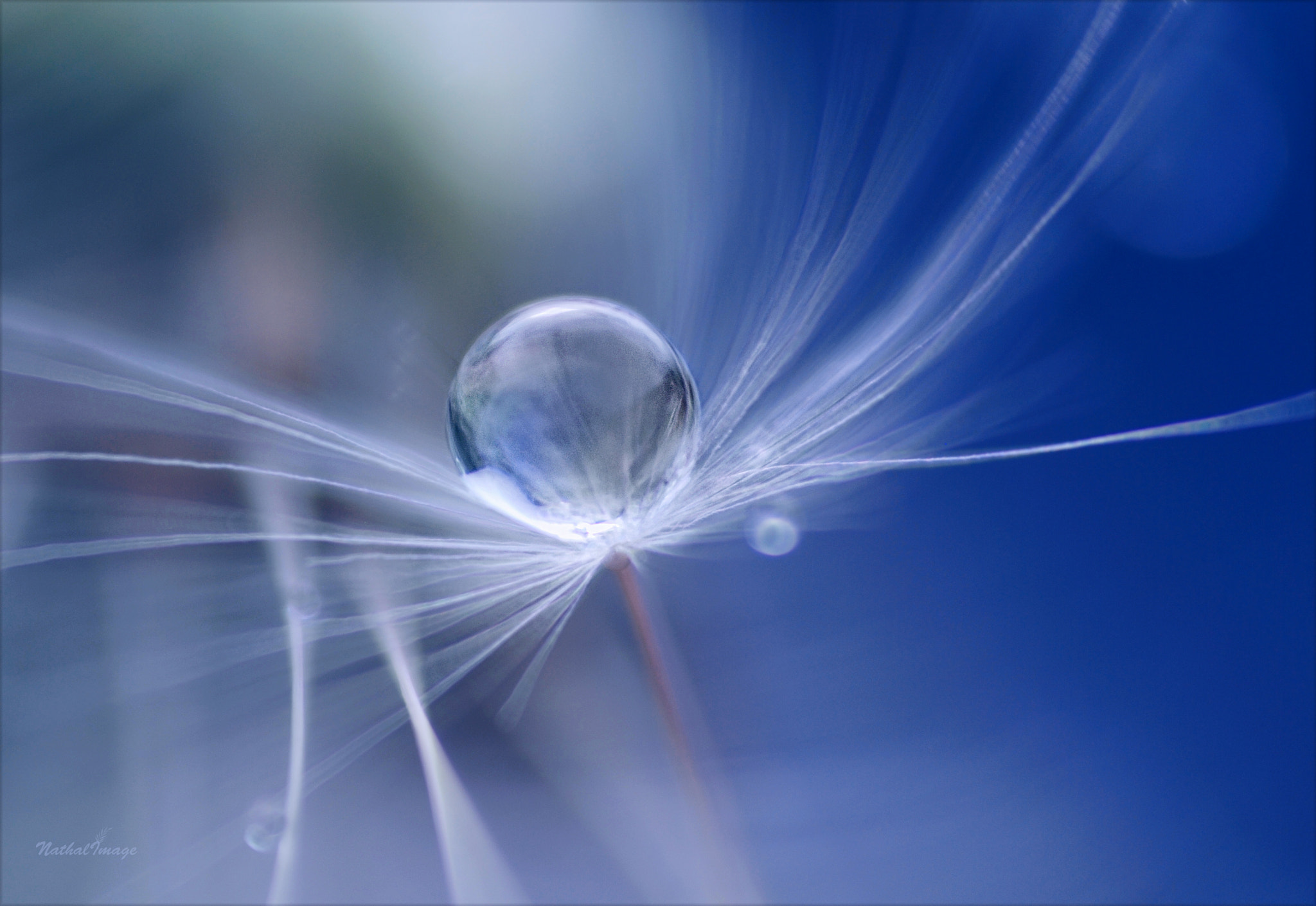 Sigma 105mm F2.8 EX DG Macro sample photo. Gone with the wind photography