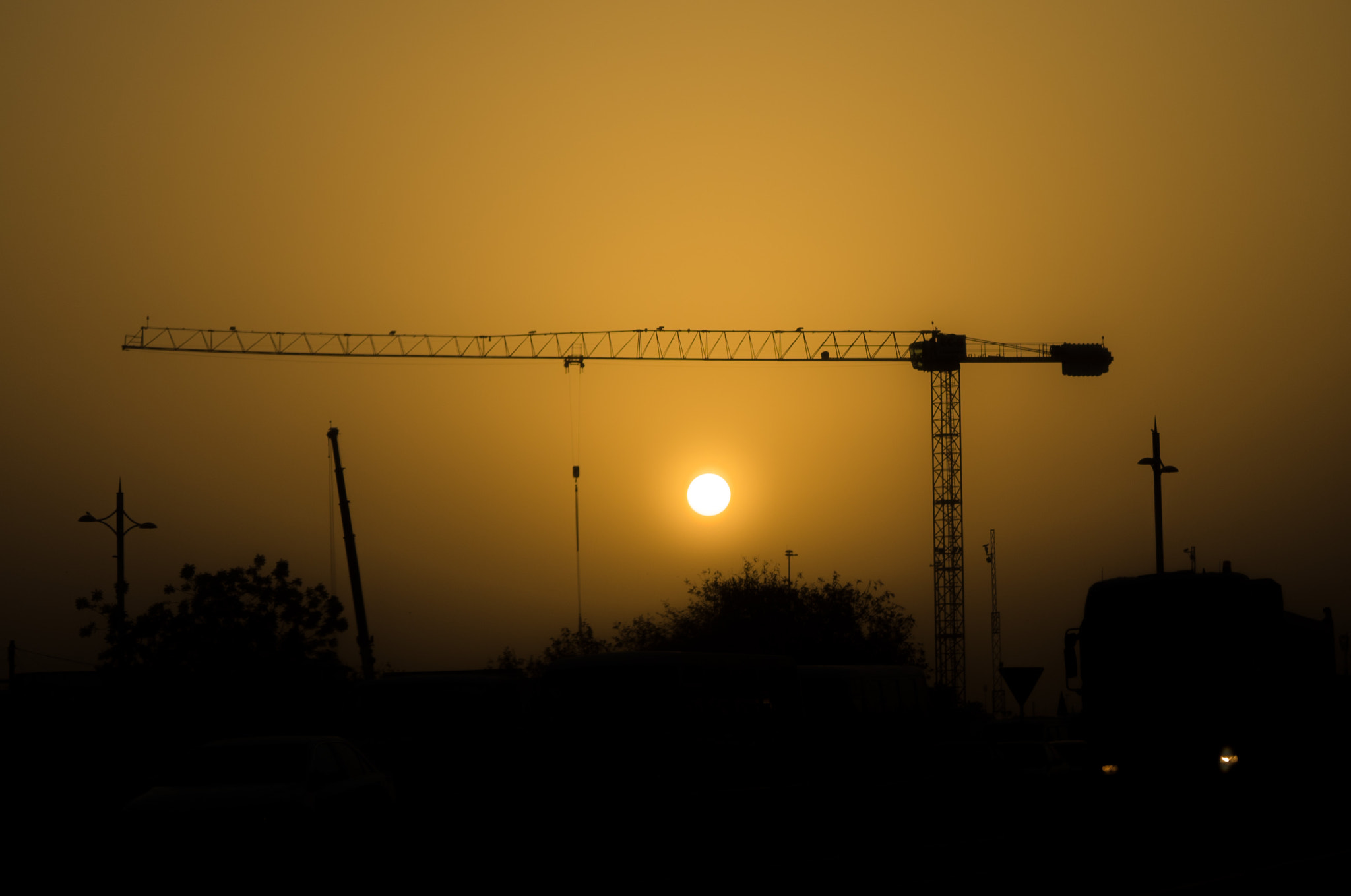 Sony a7S + Sony FE 90mm F2.8 Macro G OSS sample photo. Crane at dawn in doha photography