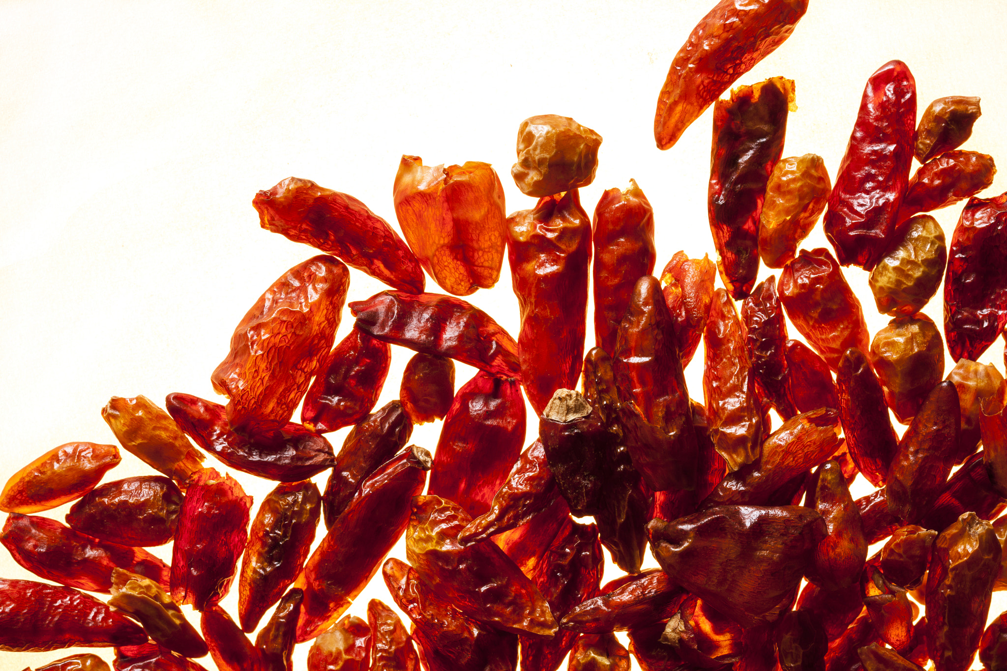 Canon EF 100mm F2.8 Macro USM sample photo. Hot & spicy photography