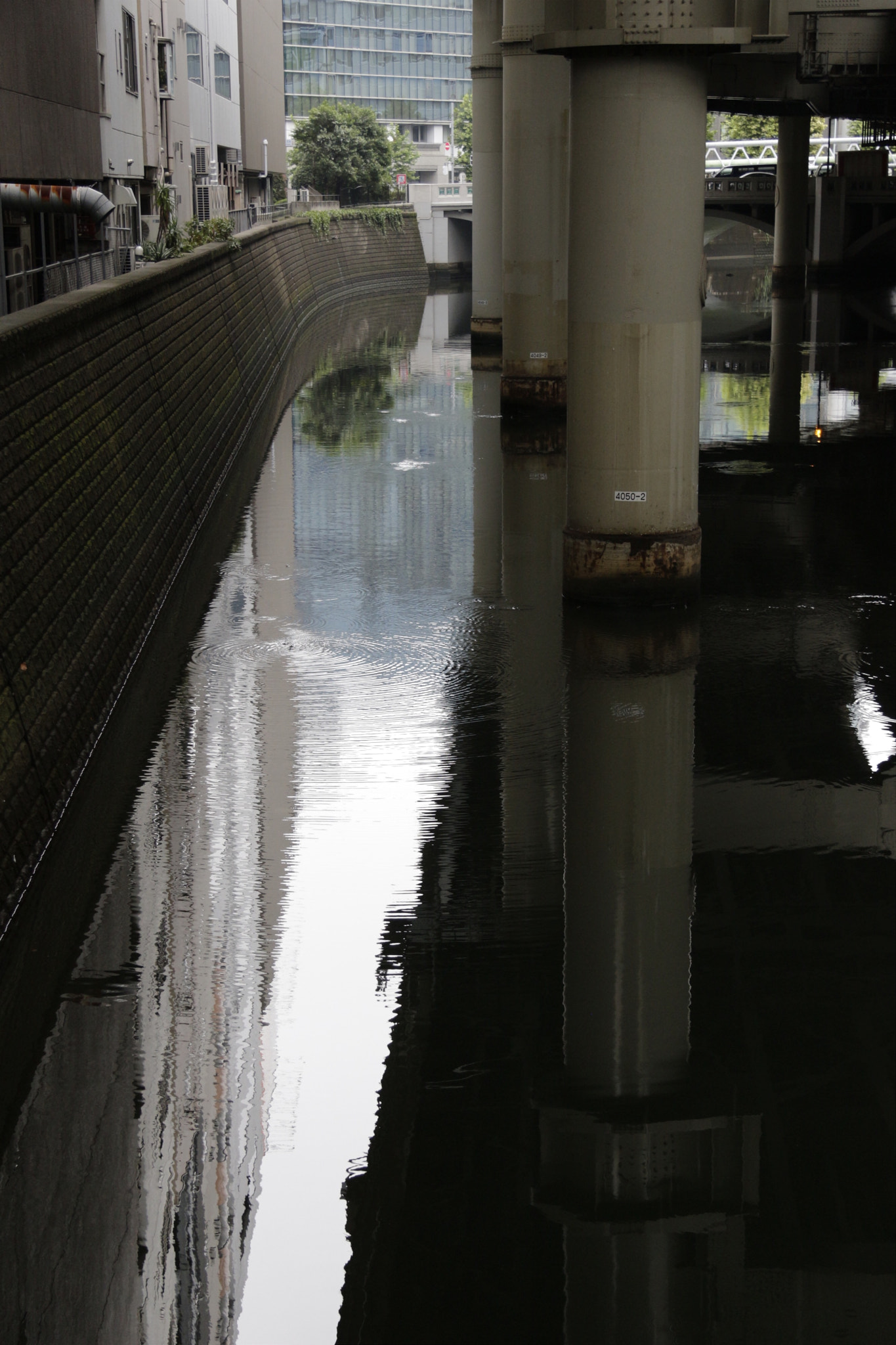 Canon EF-S 17-85mm F4-5.6 IS USM sample photo