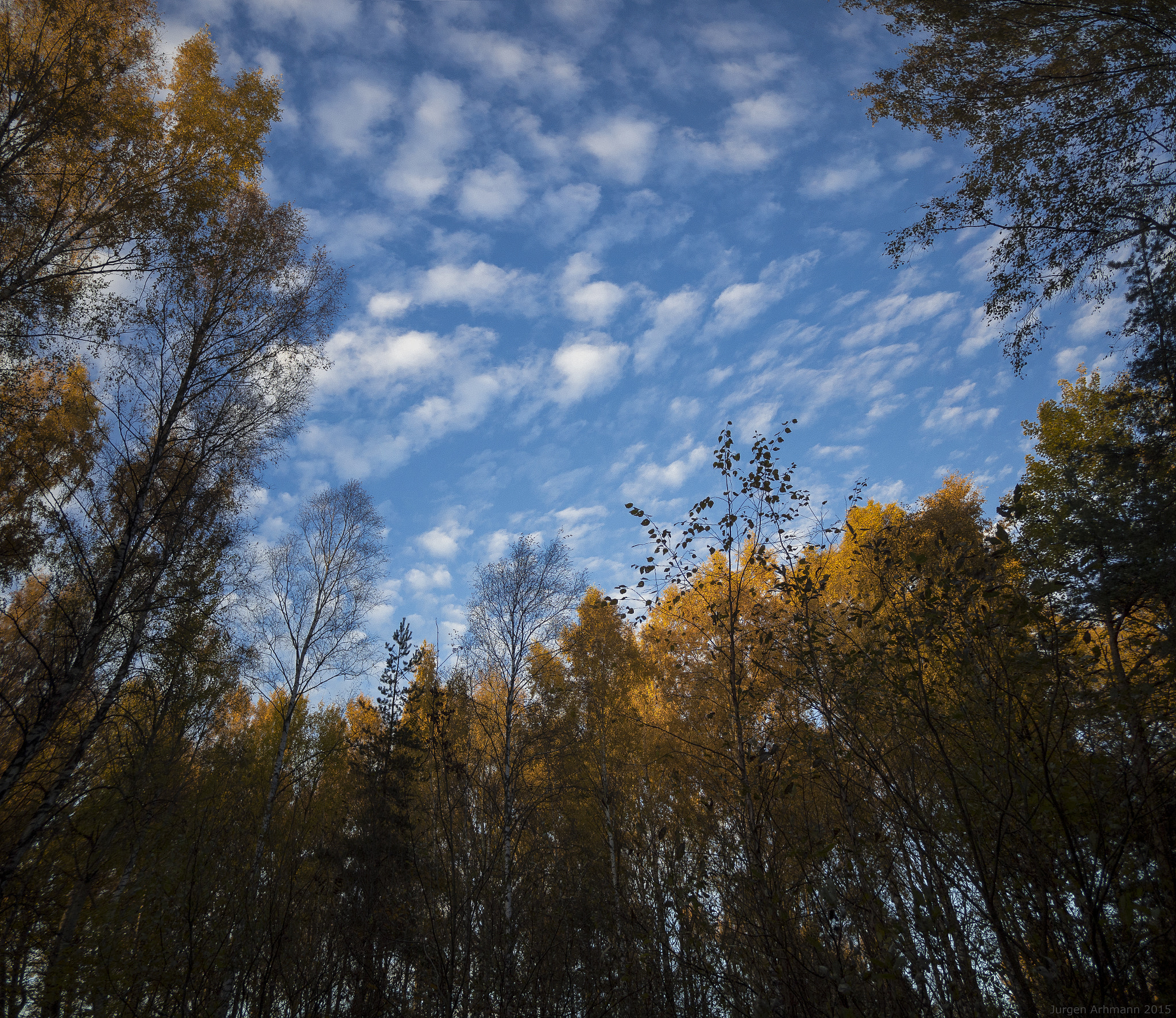 Olympus OM-D E-M10 + Panasonic Lumix G 14mm F2.5 ASPH sample photo. Jainc photography