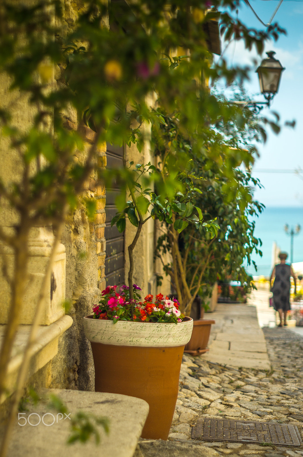 Sony SLT-A57 + Minolta AF 50mm F1.7 sample photo. Summer days photography