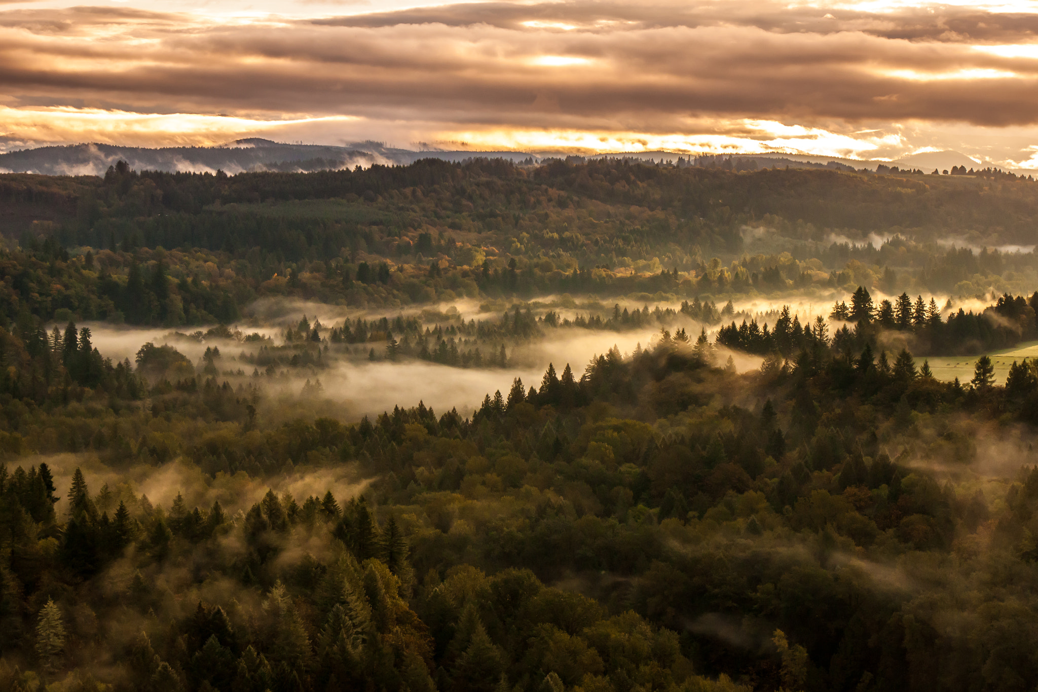 Canon EOS 500D (EOS Rebel T1i / EOS Kiss X3) sample photo. Sunrise over the sandy river valley photography