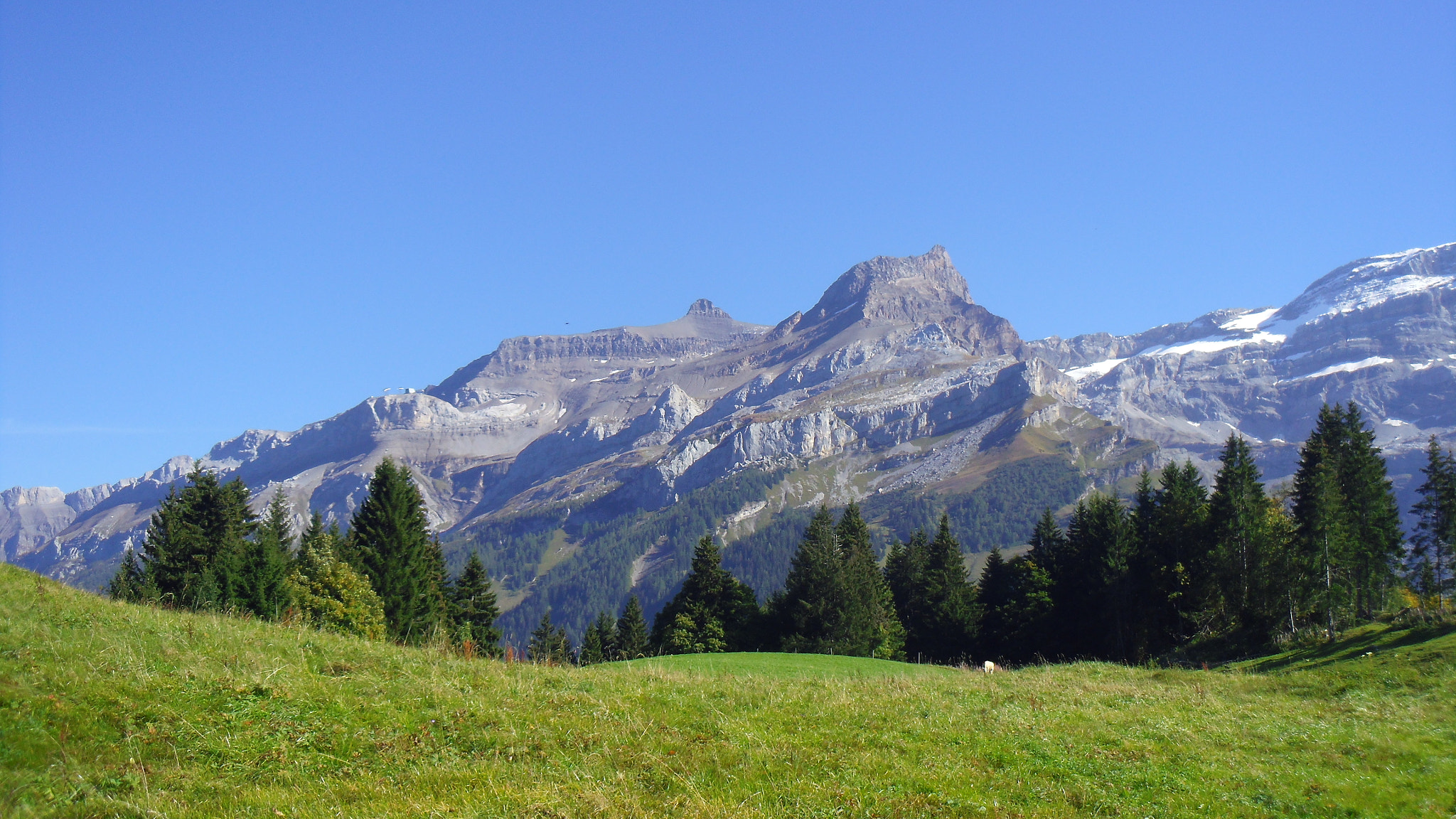 Pentax OPTIO LS465 sample photo. Montain in les diablerets vd - switzerland photography
