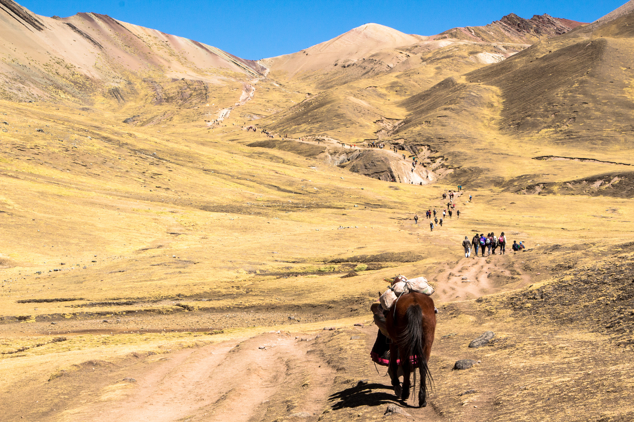 Canon EOS 700D (EOS Rebel T5i / EOS Kiss X7i) sample photo. Walking through los andes photography