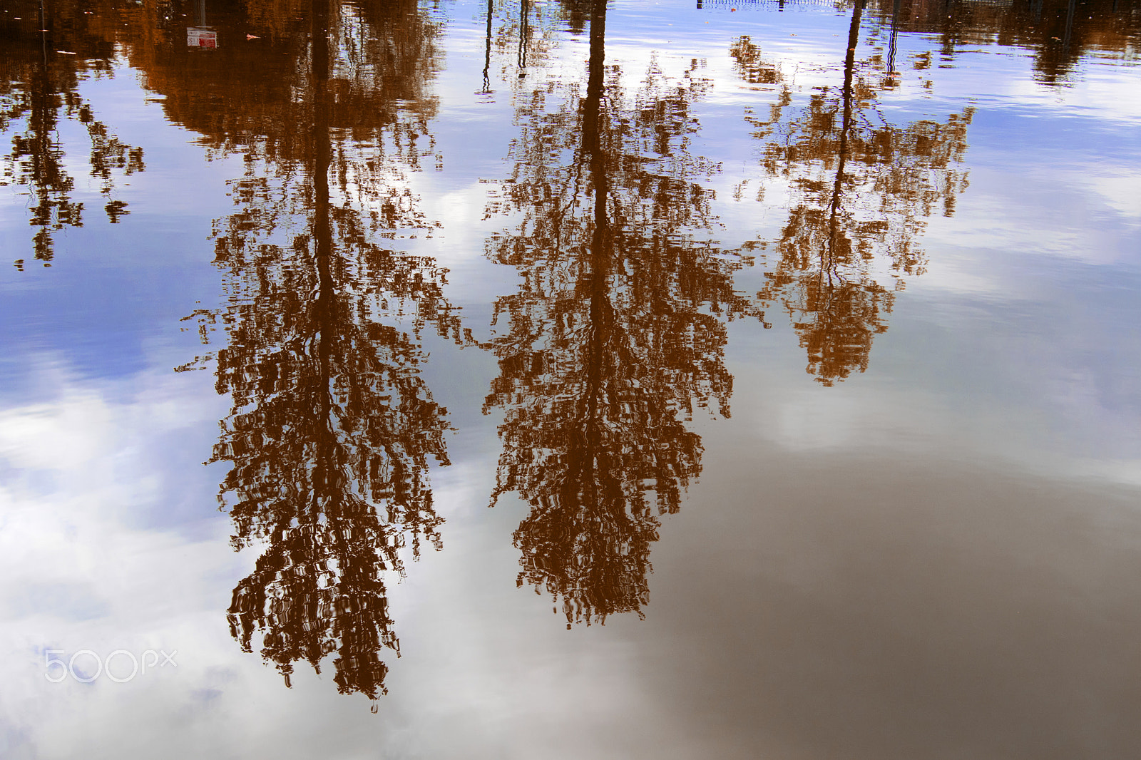 Nikon D500 sample photo. Reflections of autumn photography