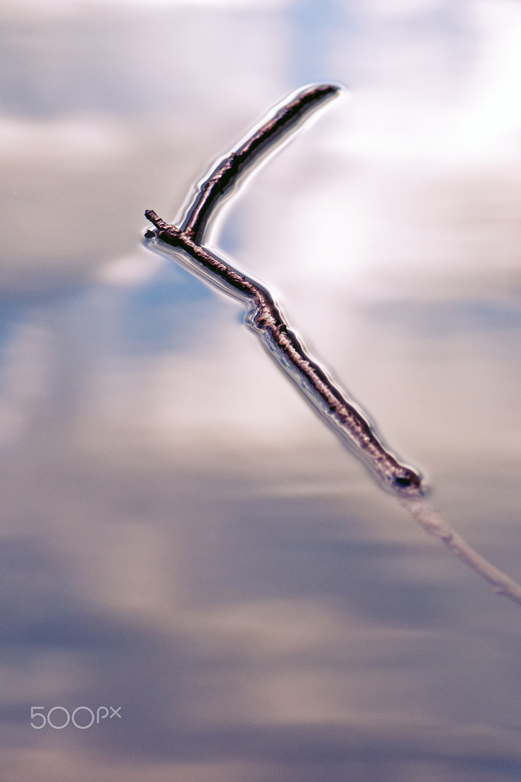 Nikon AF-S Micro-Nikkor 105mm F2.8G IF-ED VR sample photo. Le retour de bâton photography