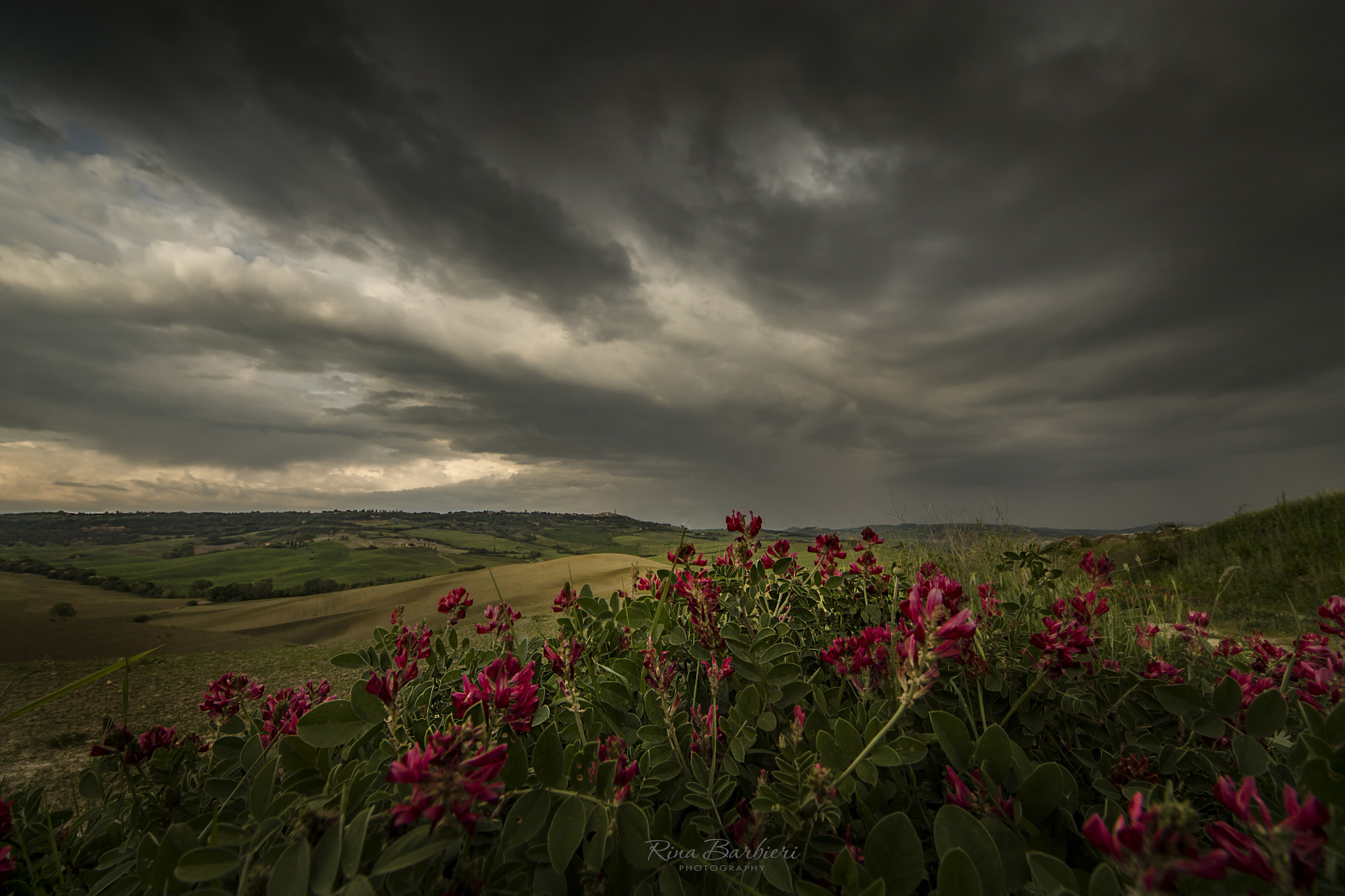 Sigma 8-16mm F4.5-5.6 DC HSM sample photo. Coming storm photography