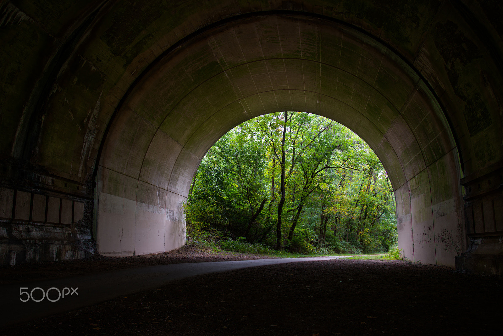 Nikon D800E sample photo. Tunnel to green photography