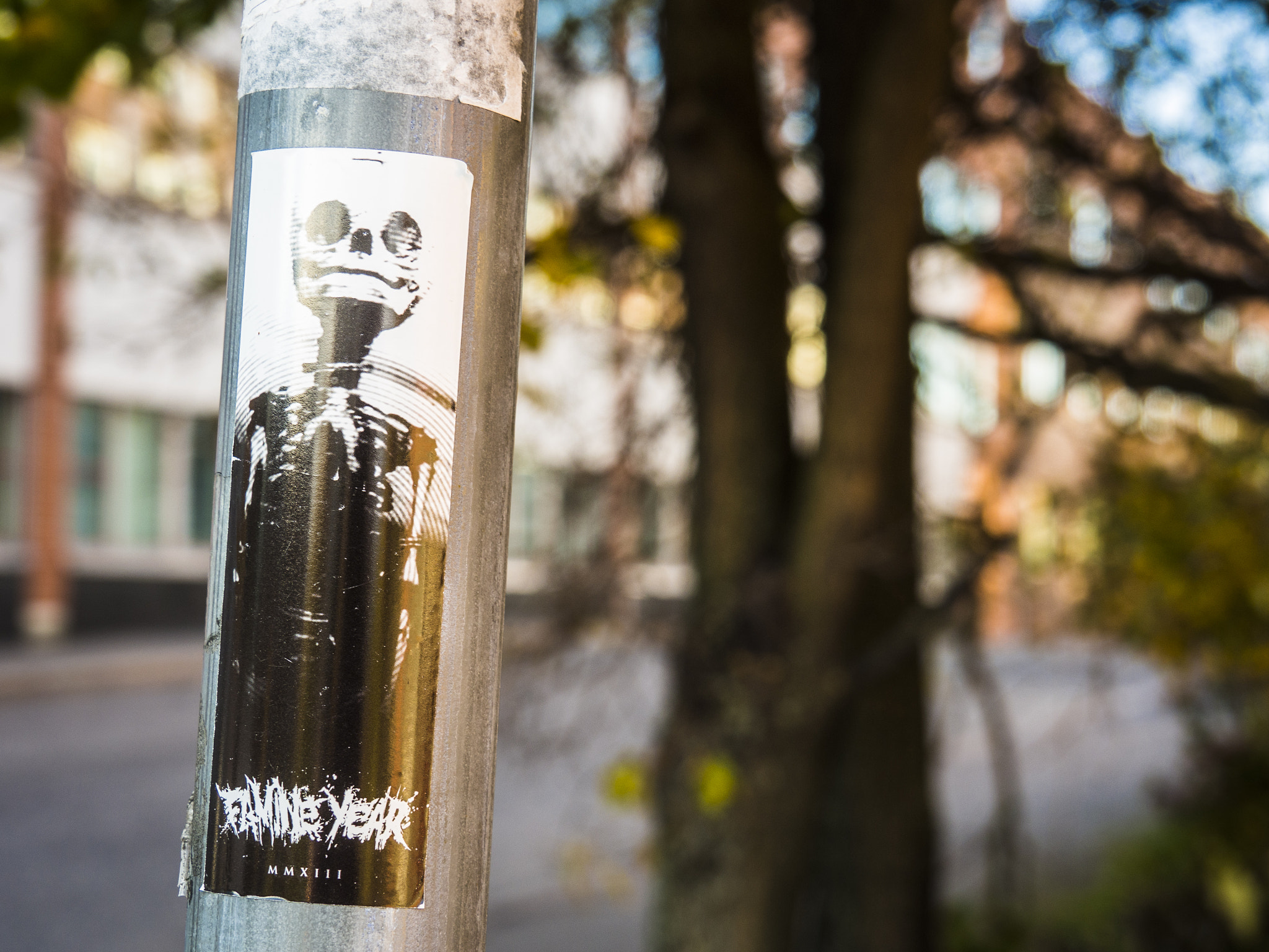 OLYMPUS M.14-150mm F4.0-5.6 II sample photo. Skeleton sticker photography