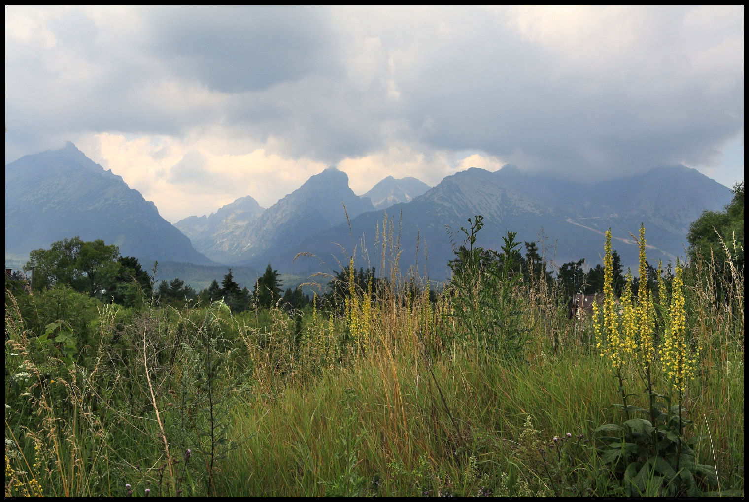 Canon EOS 450D (EOS Rebel XSi / EOS Kiss X2) sample photo. Slovakia/tatra mountains photography