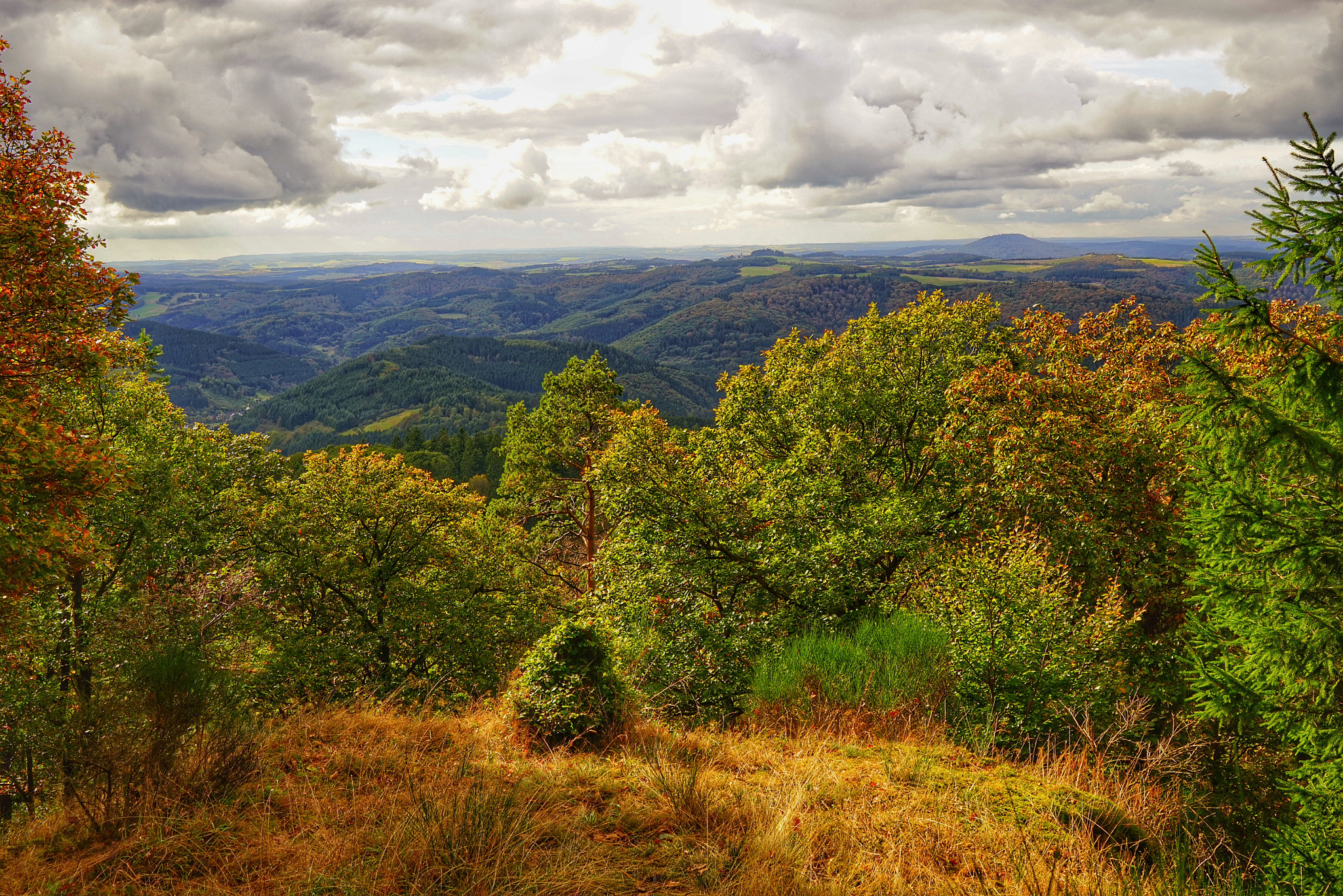Sony a7R + Sony Vario Tessar T* FE 24-70mm F4 ZA OSS sample photo. Hohe warte photography