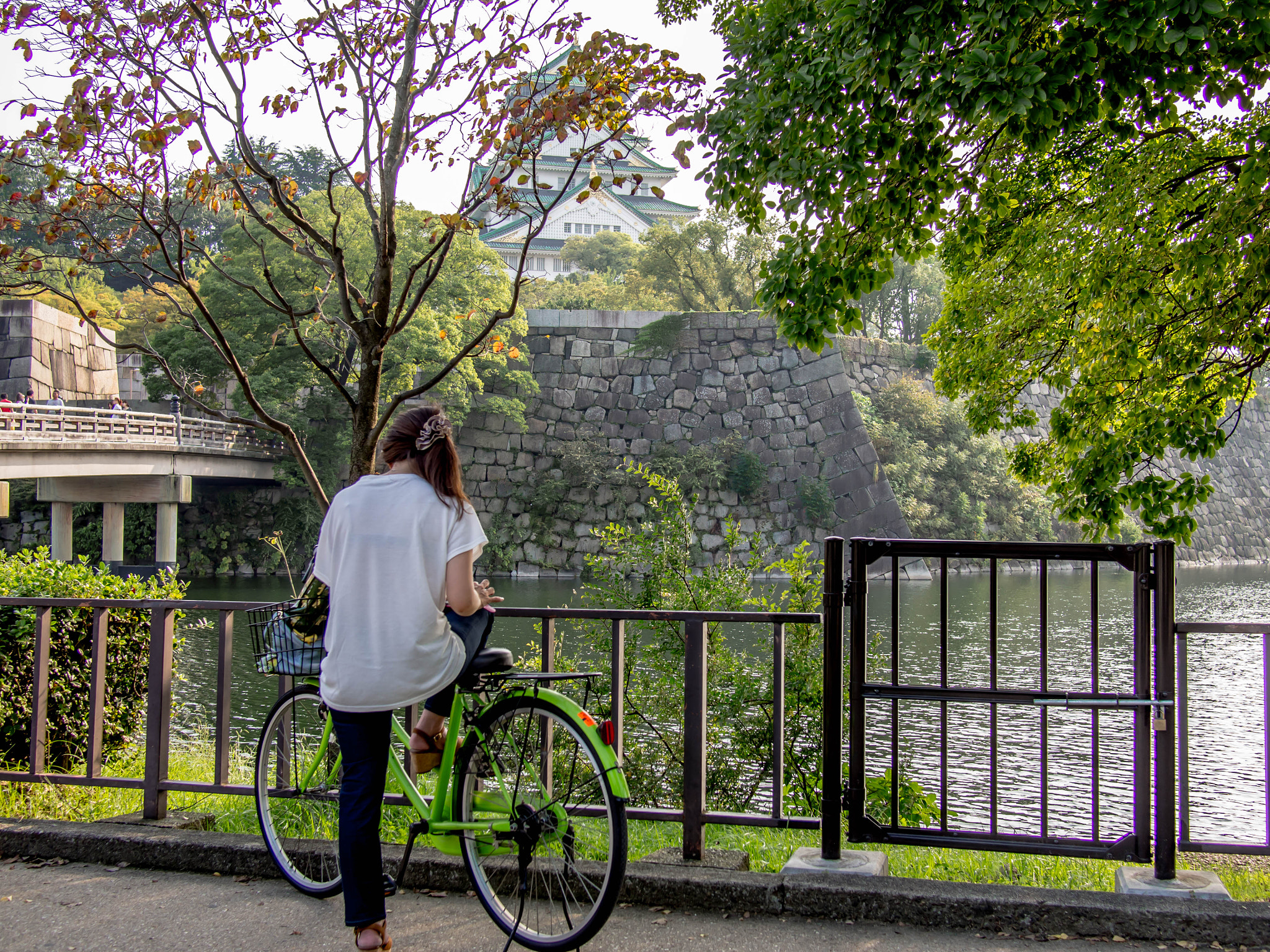 Olympus PEN E-PL6 sample photo. Osaka castle across the moat photography