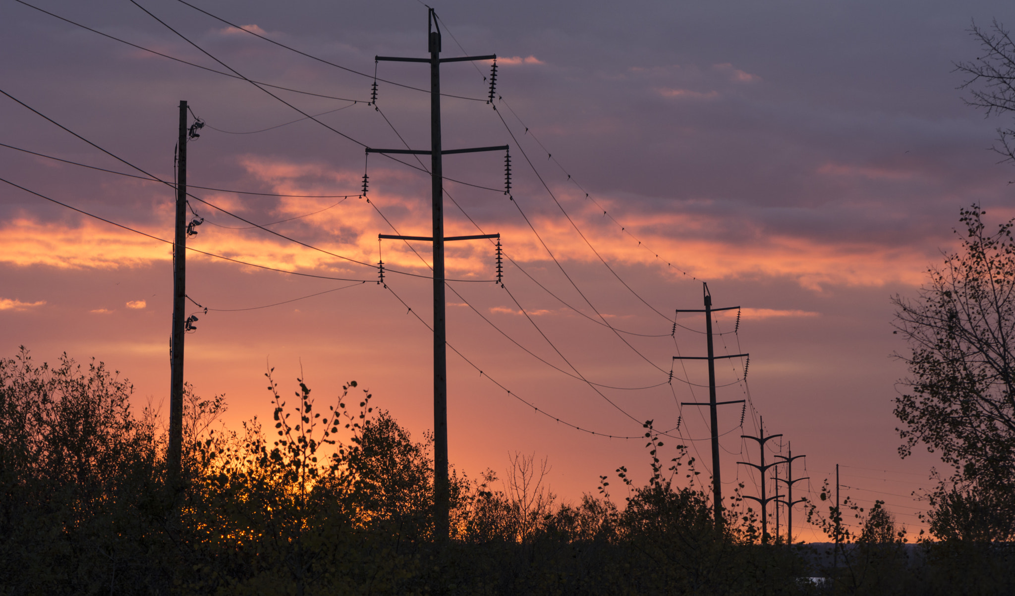 Nikon AF-S Micro-Nikkor 105mm F2.8G IF-ED VR sample photo. St albert sunset photography