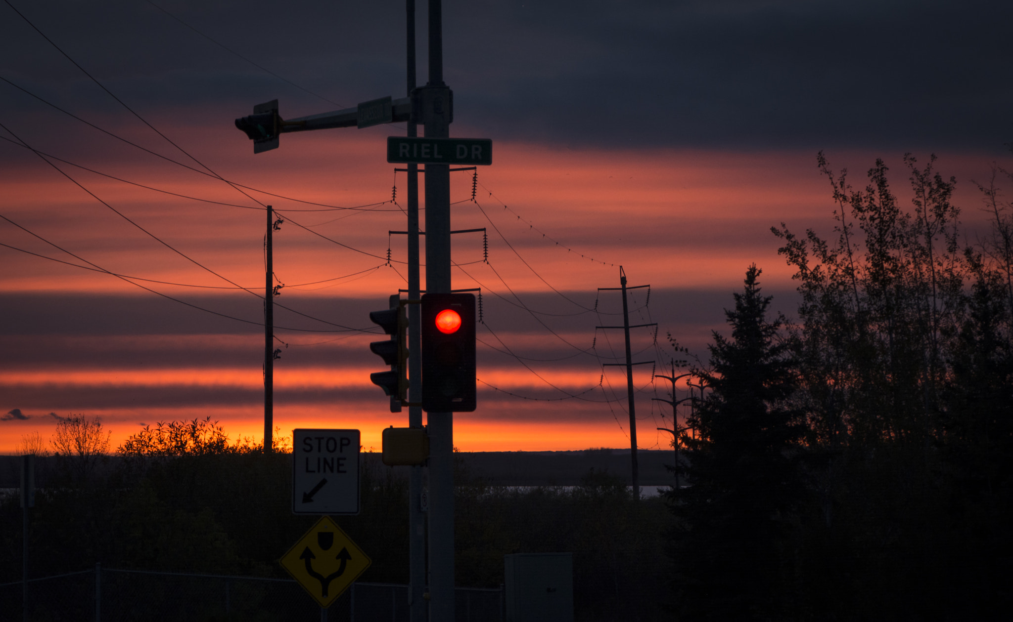 Nikon AF-S Micro-Nikkor 105mm F2.8G IF-ED VR sample photo. Stop and smell the sunset photography