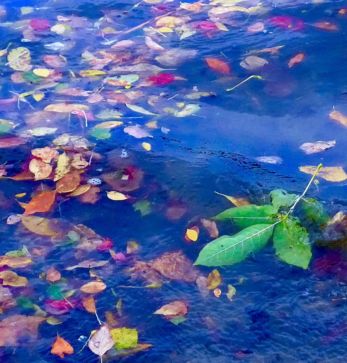 Leica C (Typ 112) sample photo. Colorfull photography