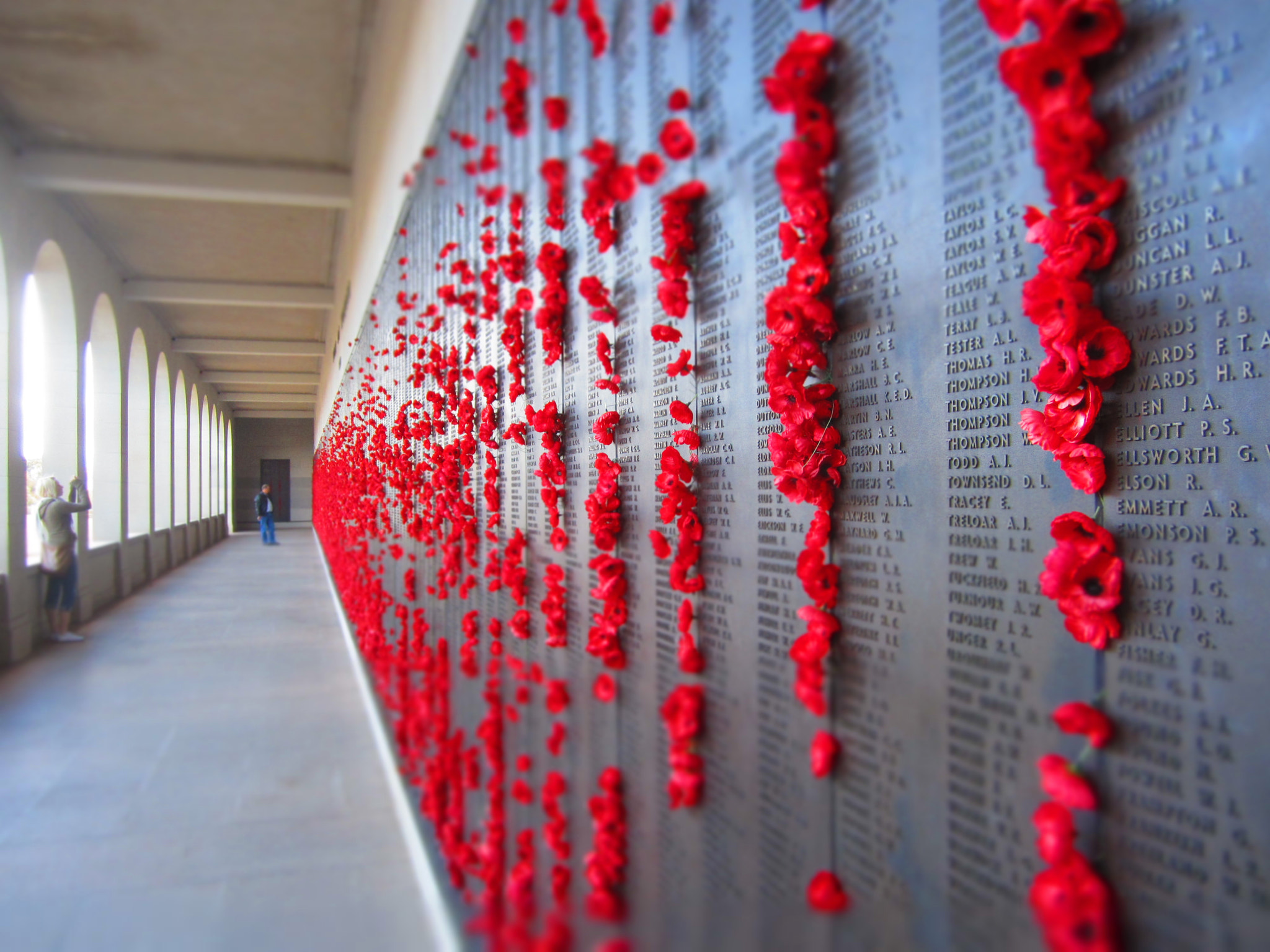 Canon PowerShot ELPH 100 HS (IXUS 115 HS / IXY 210F) sample photo. Australian war memorial names and flowers photography