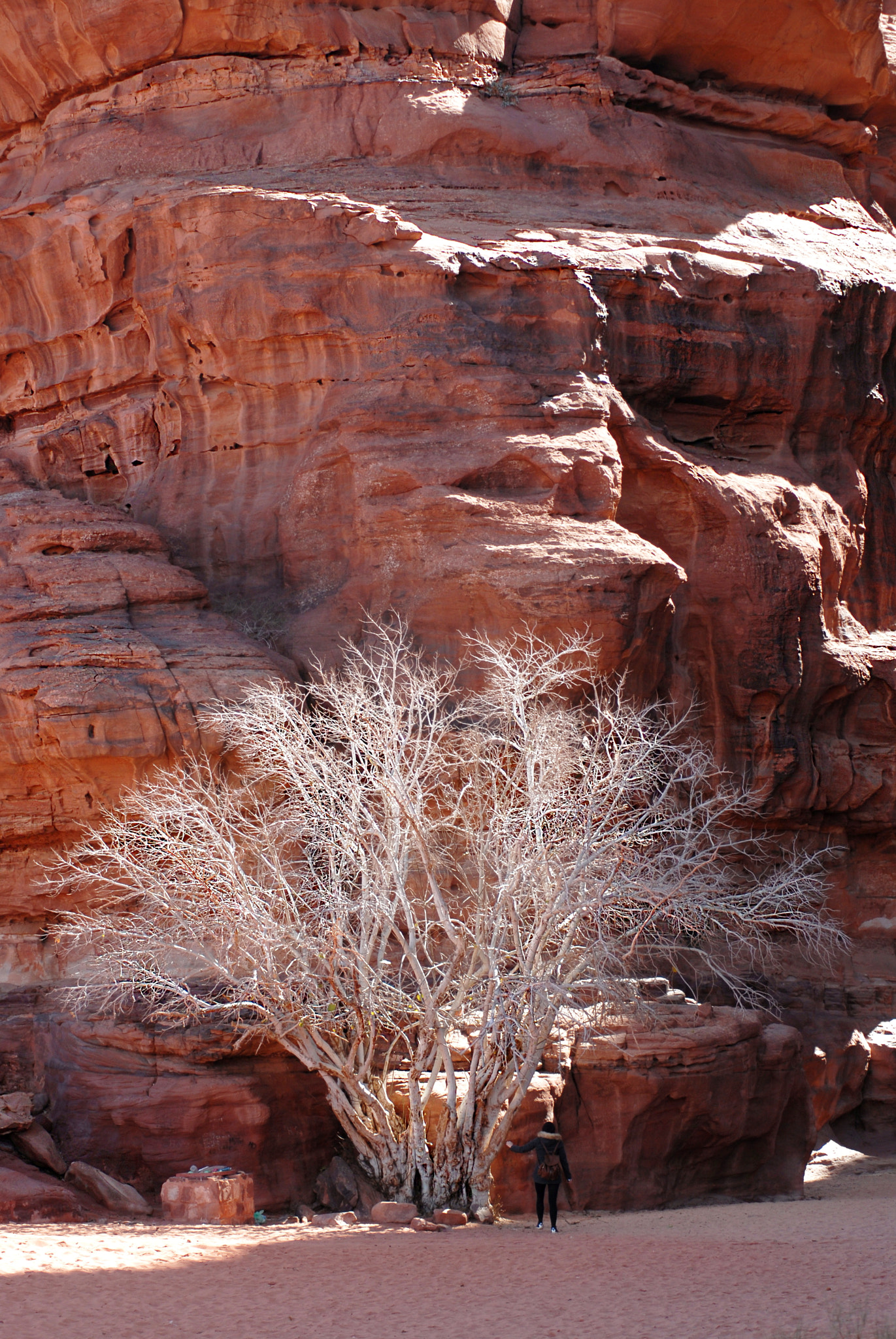 Nikon D200 sample photo. Jordan. wadi rum. photography