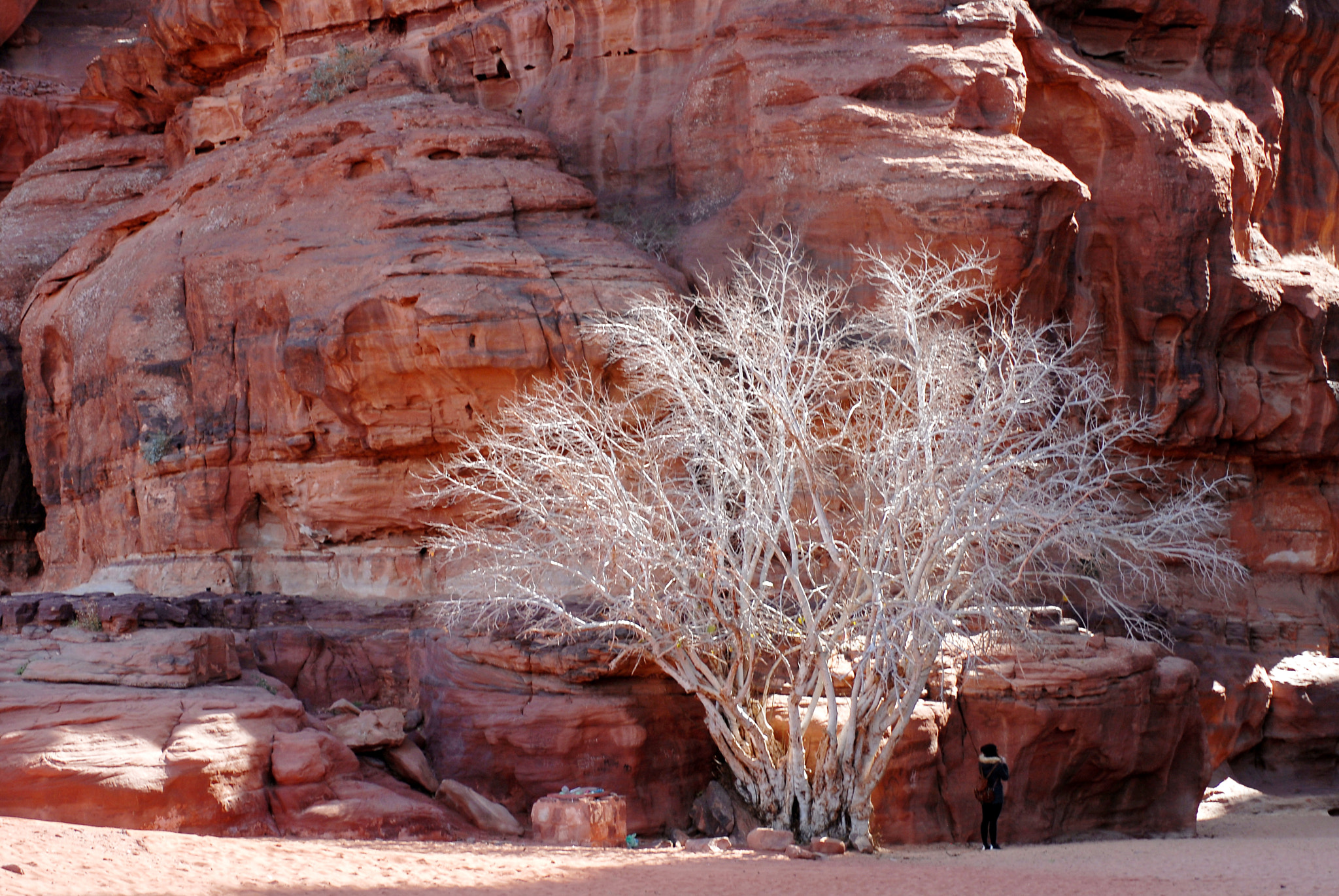 Nikon D200 sample photo. Jordan. wadi rum. photography