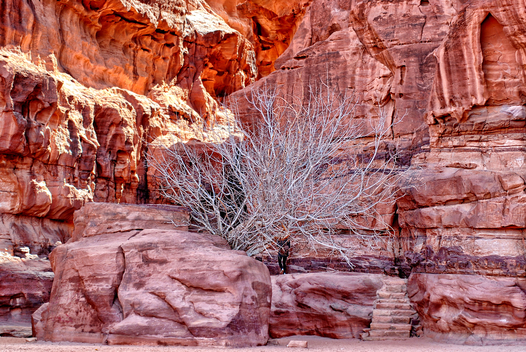 Nikon D200 sample photo. Jordan. wadi rum. photography