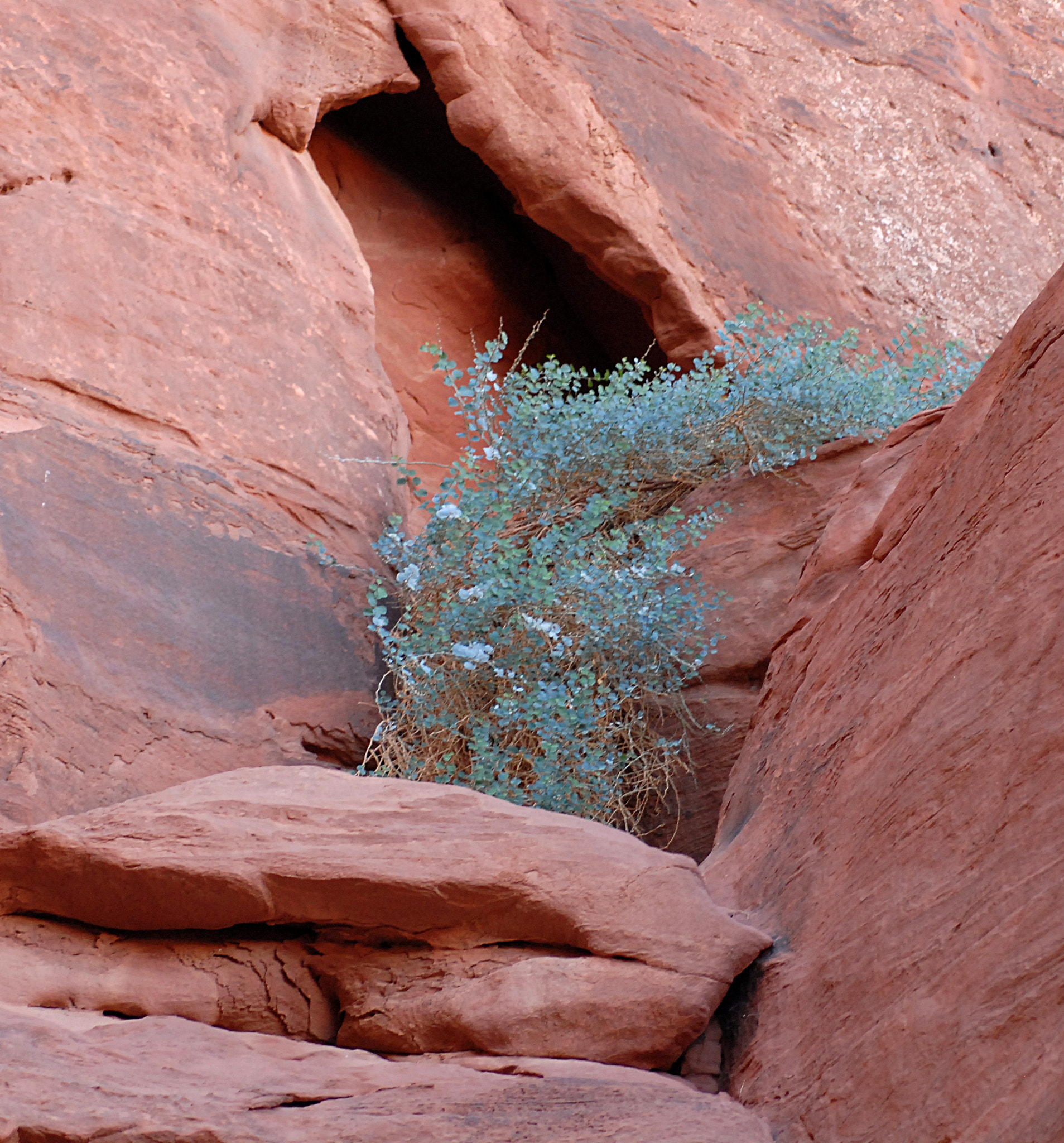 Nikon D200 sample photo. Jordan. wadi rum. photography