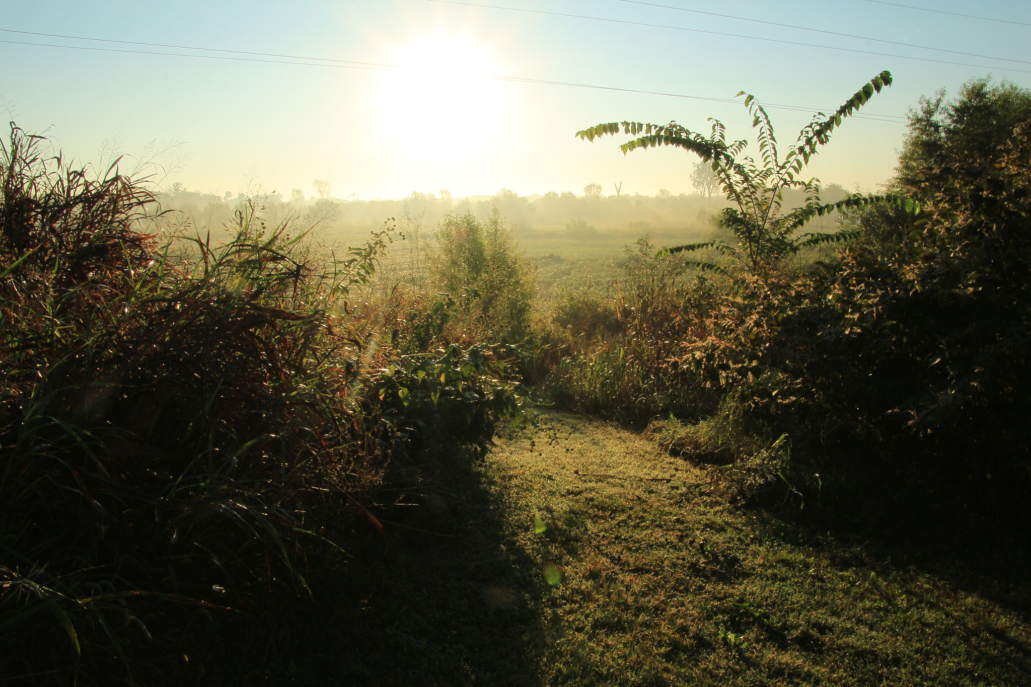 Canon EOS 700D (EOS Rebel T5i / EOS Kiss X7i) sample photo. Follow your path photography