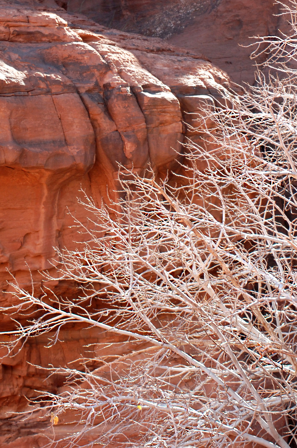 Nikon D200 sample photo. Jordan. wadi rum. photography