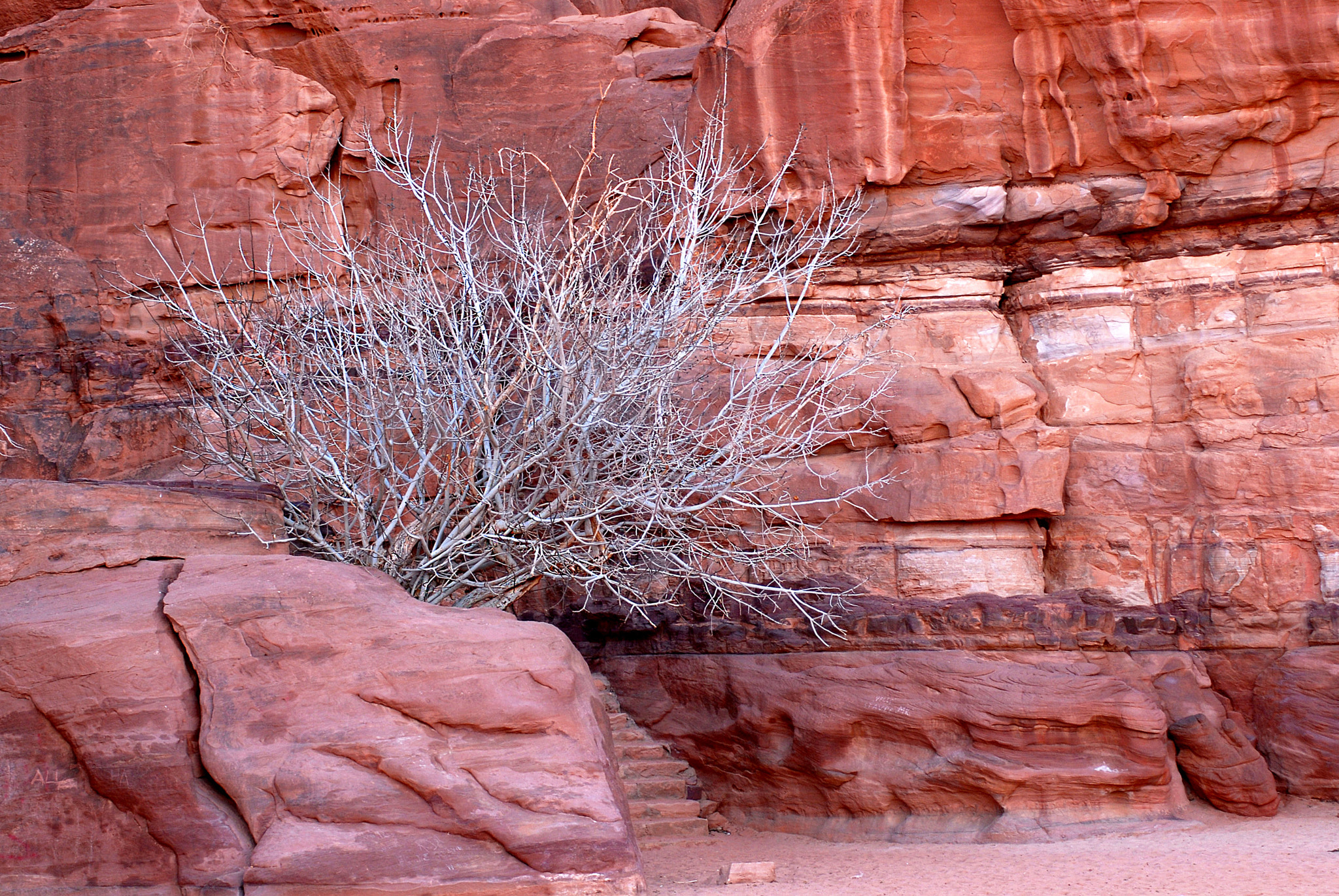 Nikon D200 sample photo. Jordan. wadi rum. photography