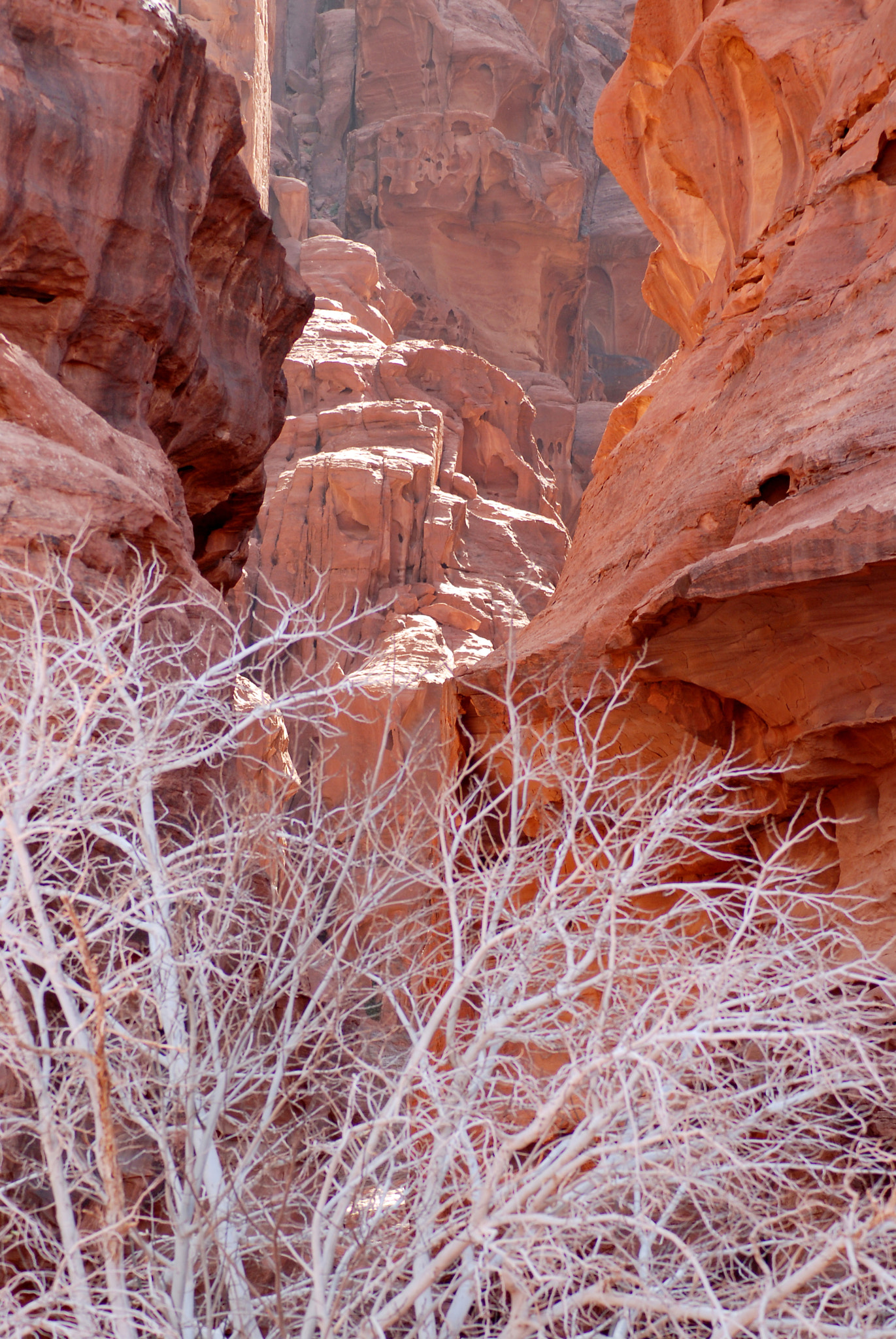 Nikon D200 sample photo. ++jordan. wadi rum. photography