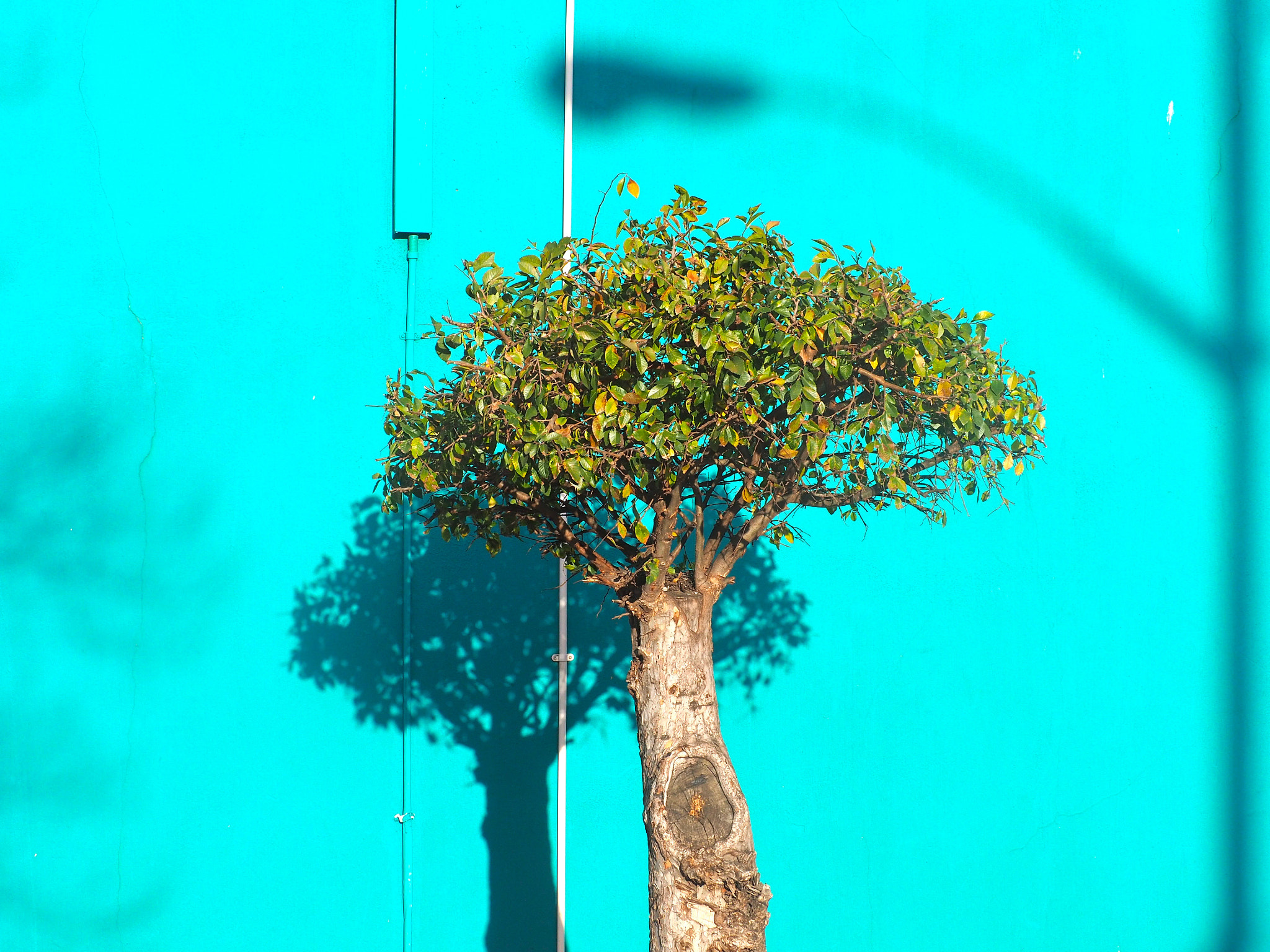 Olympus OM-D E-M5 II sample photo. Urban detail photography