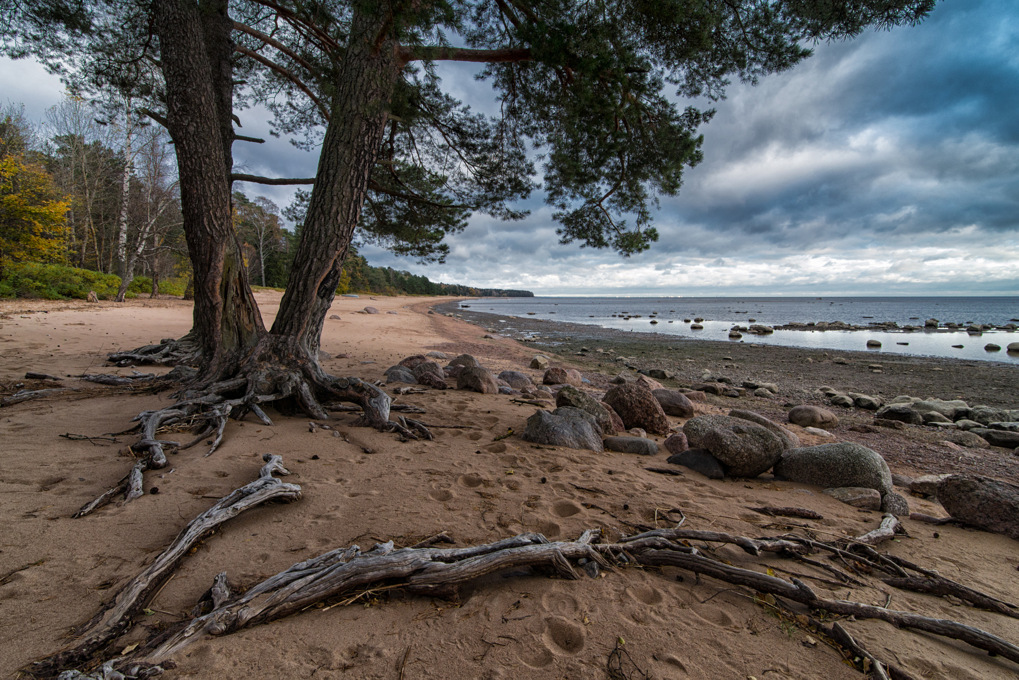 Nikon D600 + Tokina AT-X 16-28mm F2.8 Pro FX sample photo. Autumn beach photography