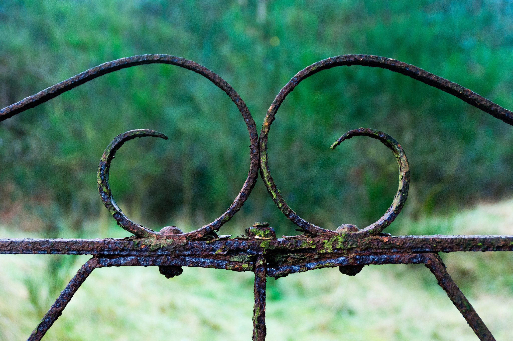 Sony DT 18-200mm F3.5-6.3 sample photo. Iron gate photography