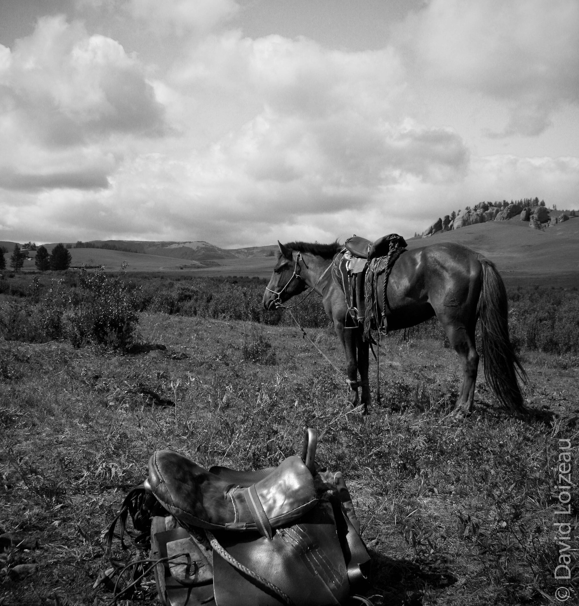 Canon EF-S 17-85mm F4-5.6 IS USM sample photo. Mongolie terilj photography