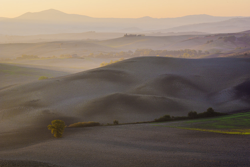 Sony SLT-A77 + Sigma 70-300mm F4-5.6 DL Macro sample photo. Val d'orcia photography