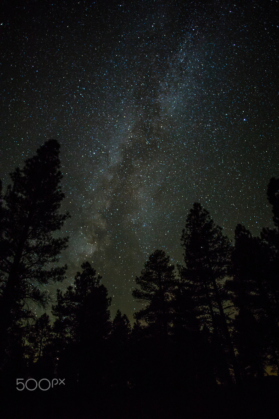 Canon EOS 5D Mark IV + Canon EF 20mm F2.8 USM sample photo. Milky way photography