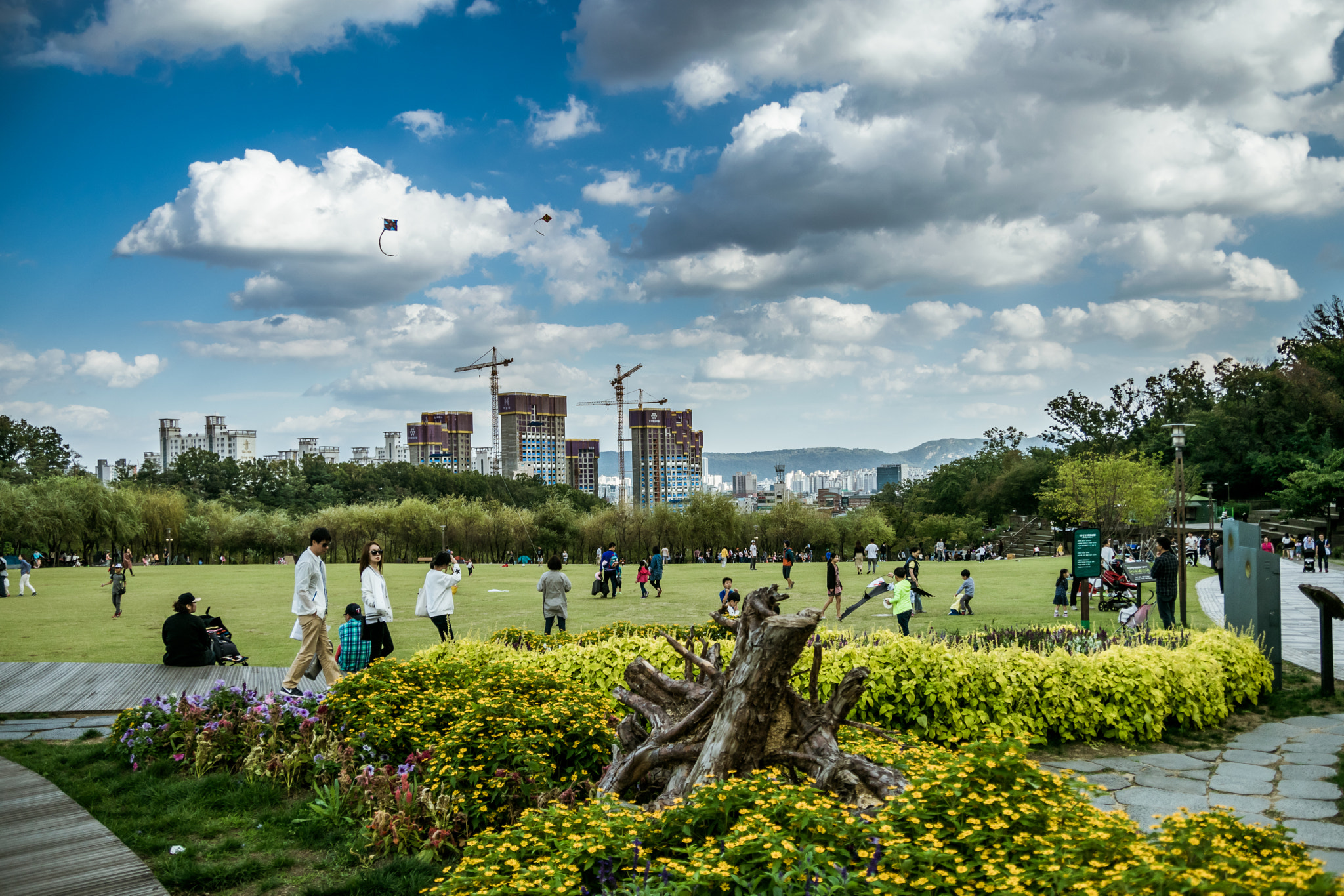 Nikon D5300 + Sigma 18-50mm F2.8 EX DC Macro sample photo. Nice day at the park photography