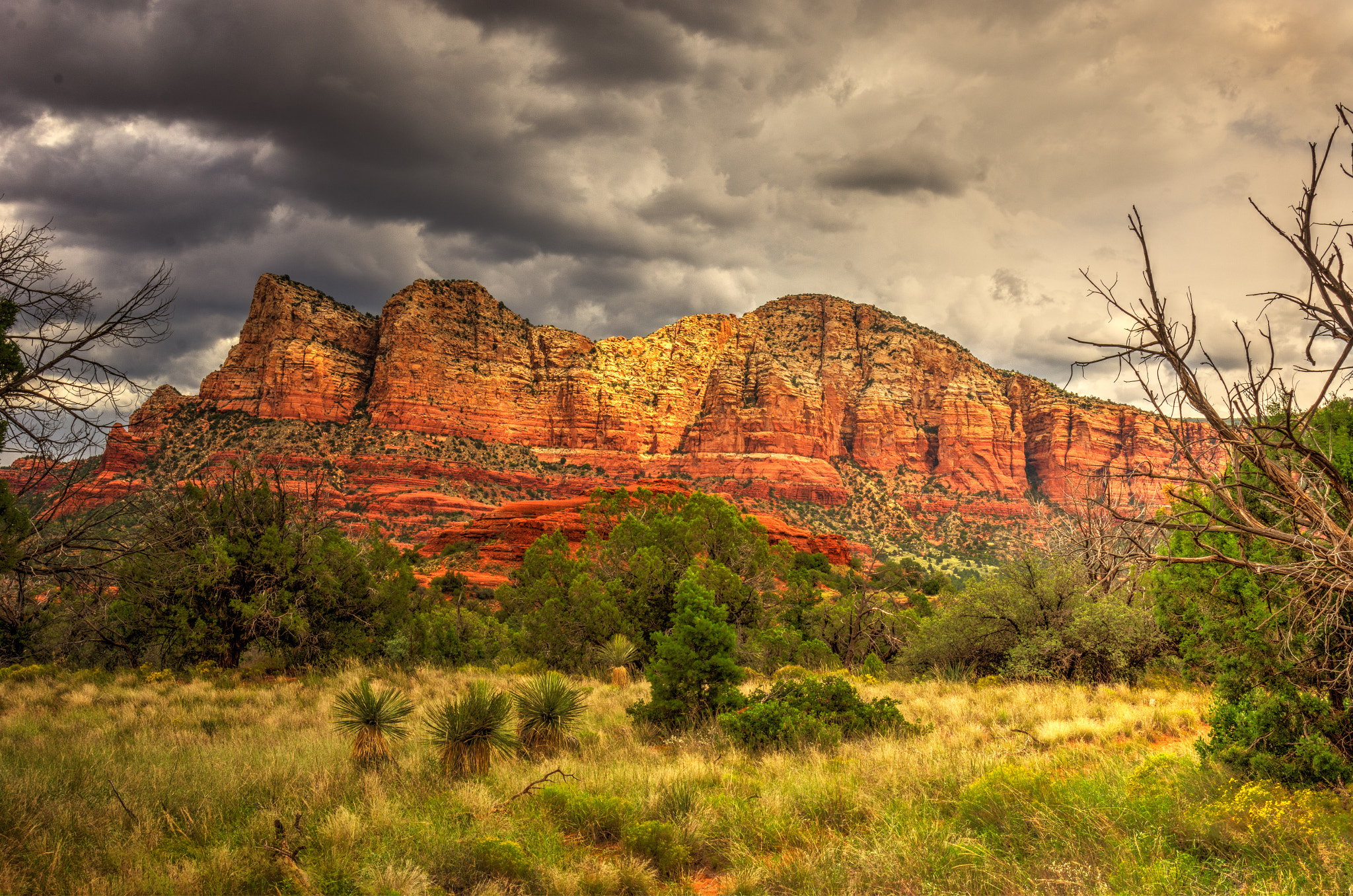 Nikon AF Nikkor 24-85mm F2.8-4D IF sample photo. Red rocks photography