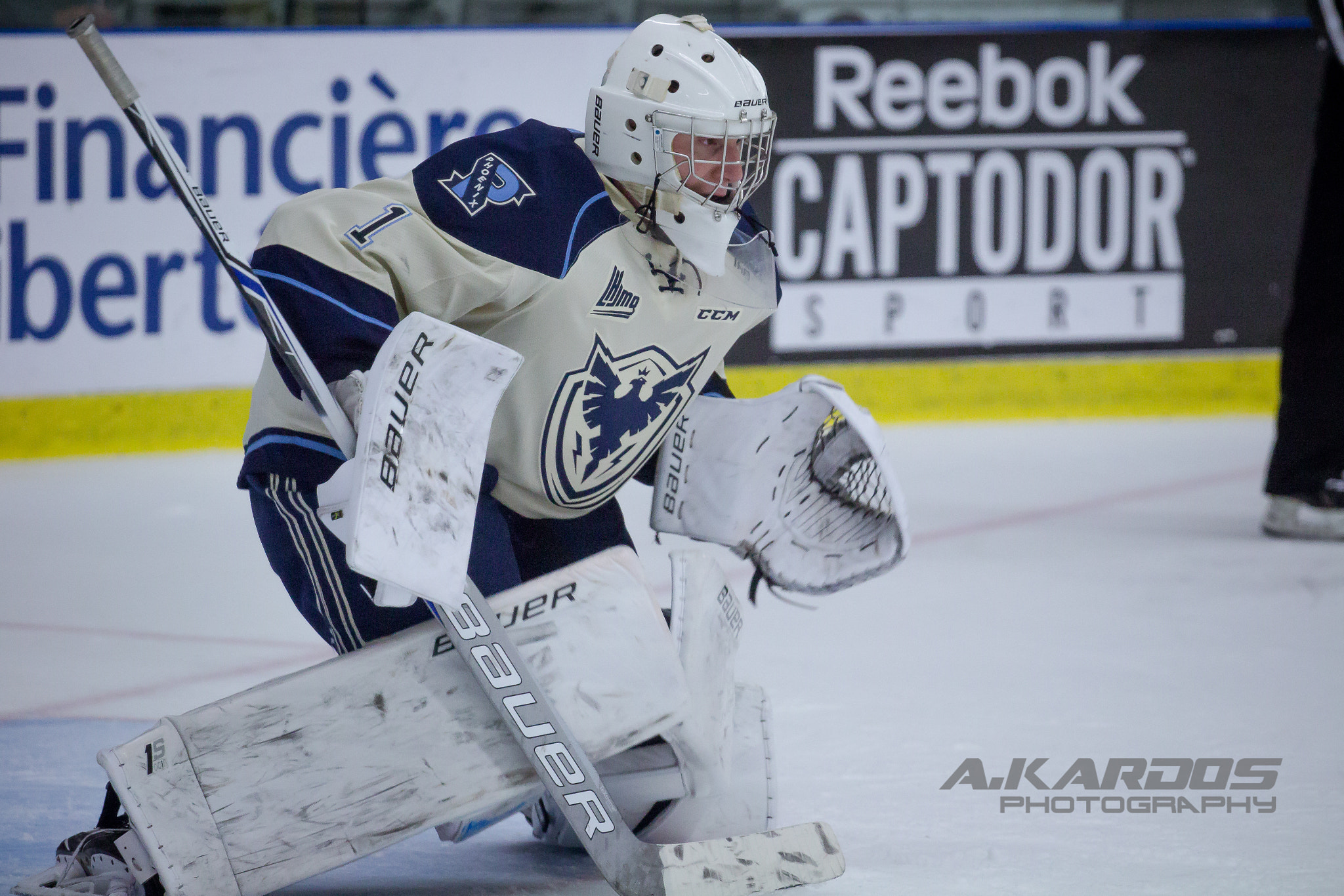 Canon EOS 700D (EOS Rebel T5i / EOS Kiss X7i) + Canon EF 70-200mm F4L USM sample photo. Evan fitzpatrick #1 (phoenix sherbrooke) photography