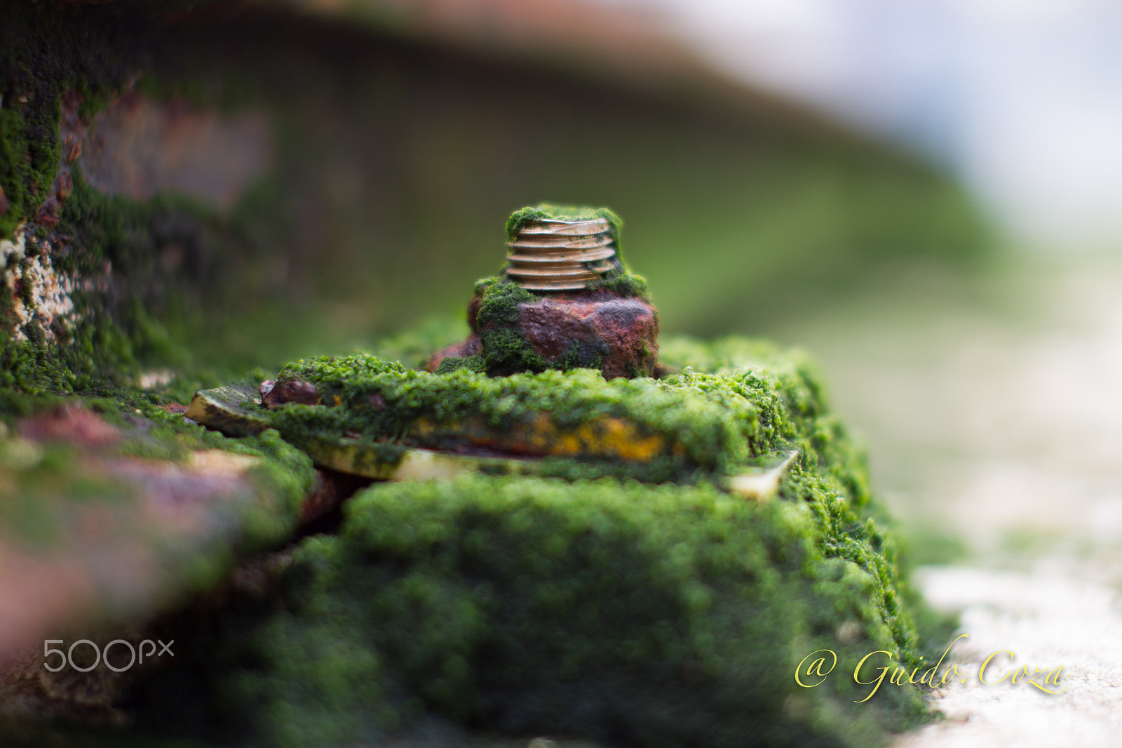 Canon EOS-1D Mark IV sample photo. The tooth of time photography