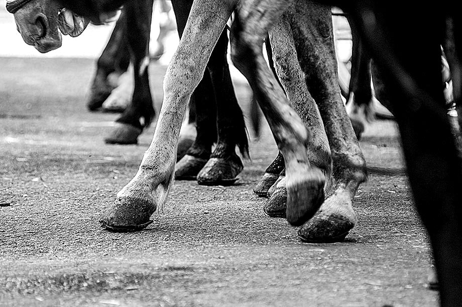 Nikon AF-Nikkor 80-200mm F2.8D ED sample photo. " rhythm " photography