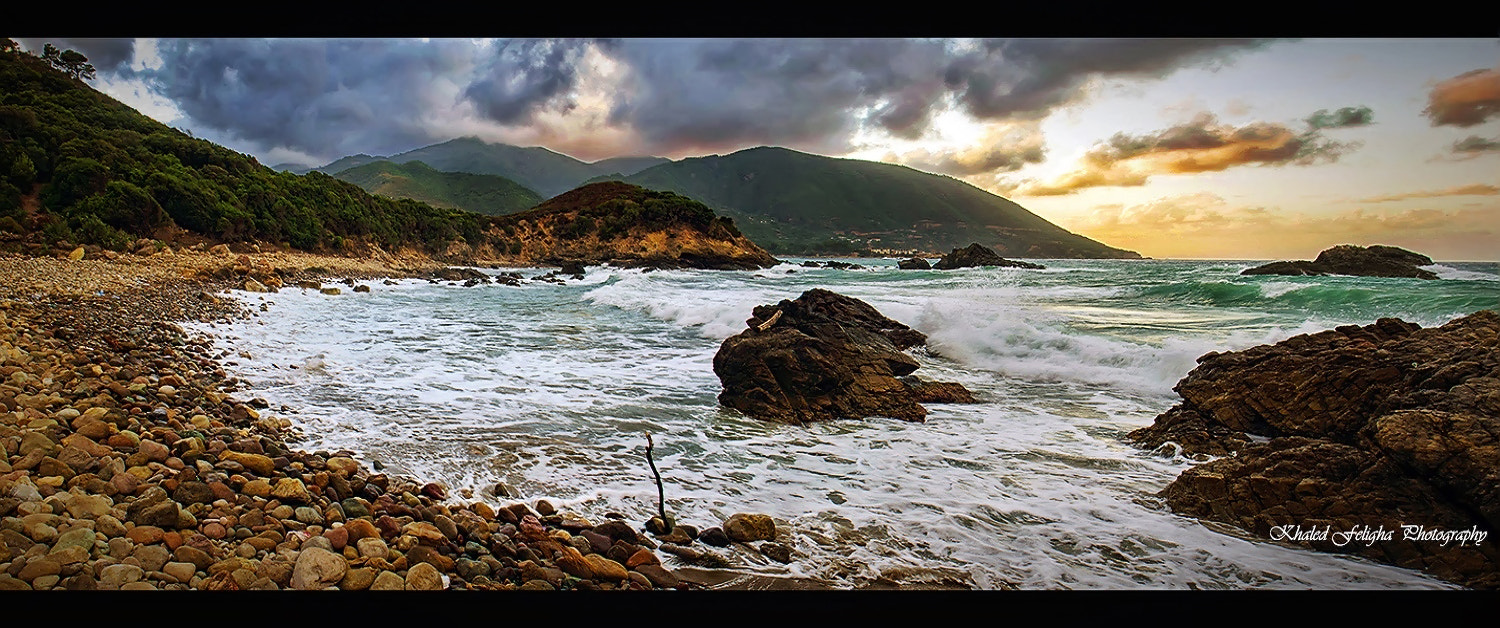 Sigma 18-50mm F2.8-4.5 DC OS HSM sample photo. Tamanart algeria photography