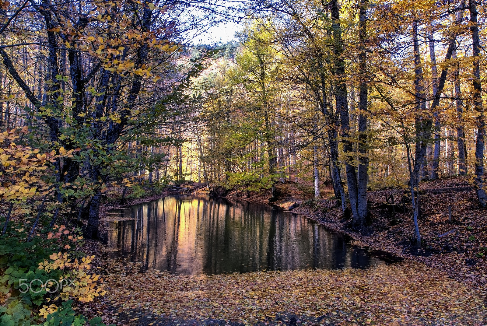Nikon D200 sample photo. Yedigöllerde sonbahar (autumn in seven lakes)... photography