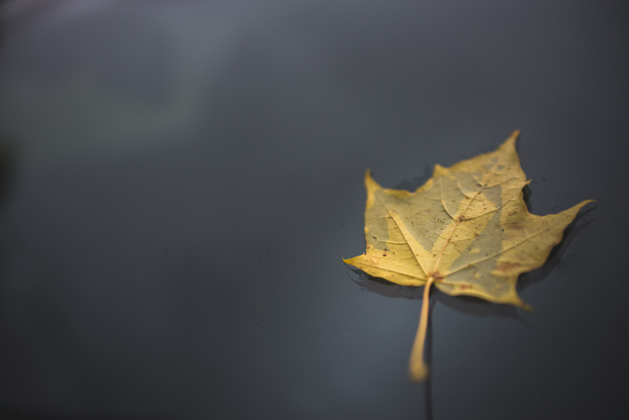 Nikon D610 + AF Zoom-Nikkor 35-70mm f/2.8D sample photo. Minimalism photography