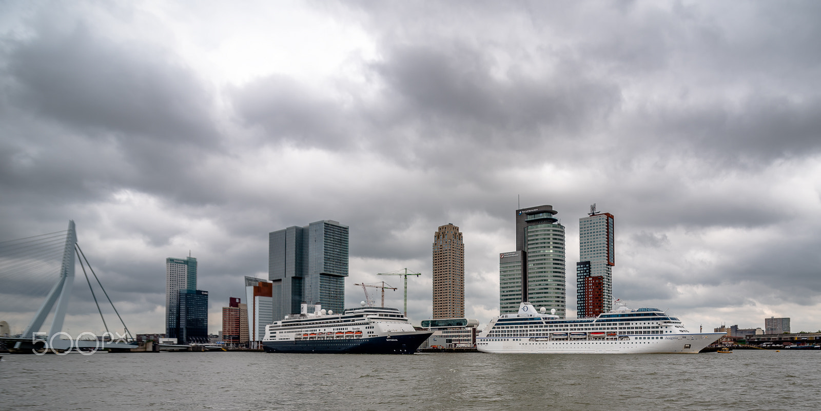 Nikon D750 sample photo. Cruise schepen rotterdam 2016 photography