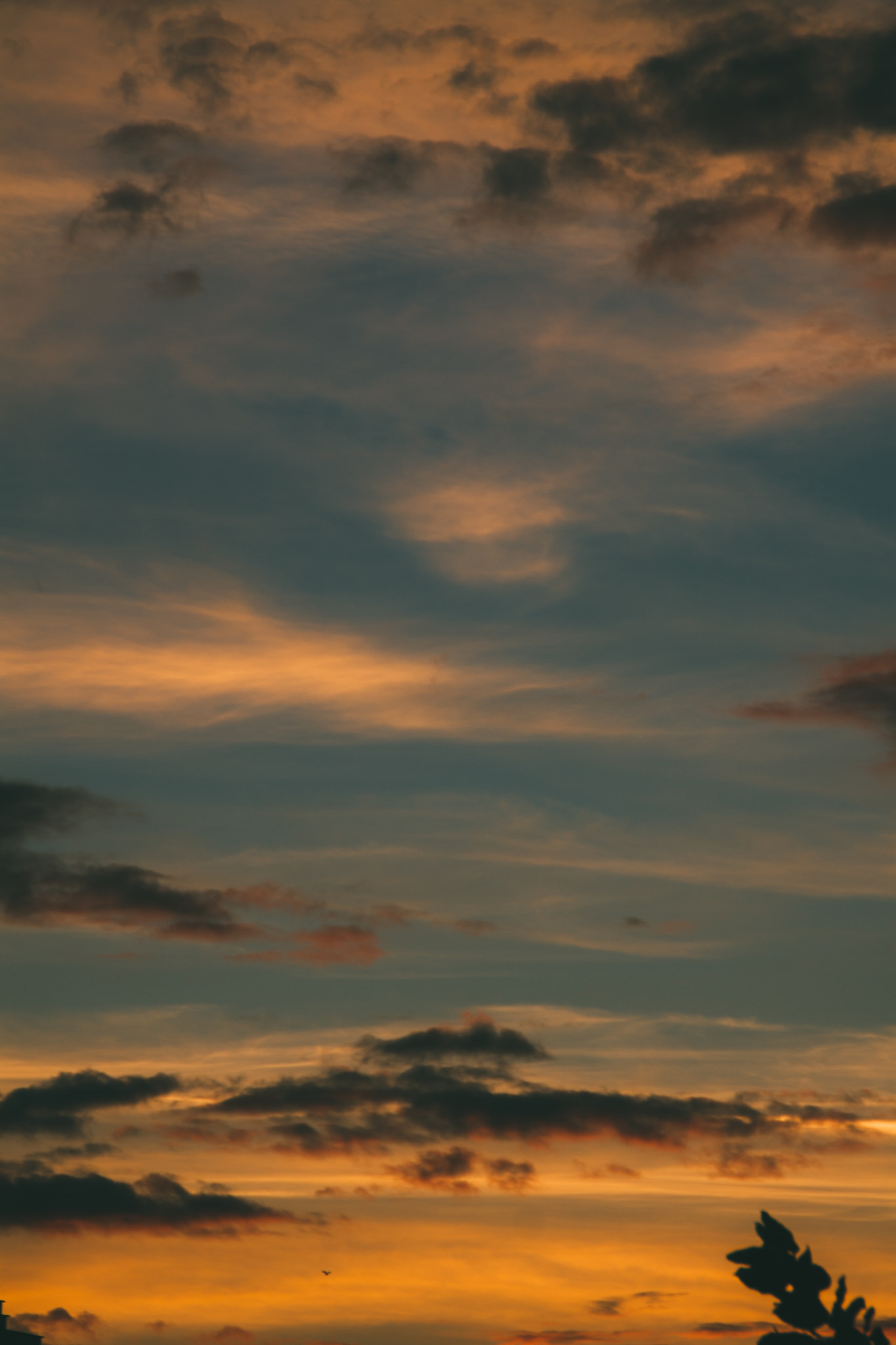 Canon EOS 50D sample photo. Sunset photography