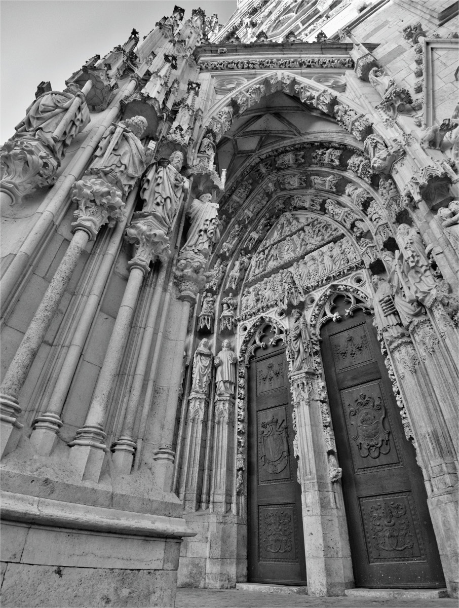 Olympus OM-D E-M1 + OLYMPUS M.9-18mm F4.0-5.6 sample photo. .. cathedral of st peter's (regensburg, germany) . photography