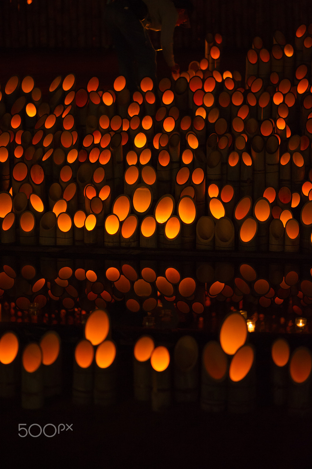 Nikon D3S sample photo. Bamboo lights photography